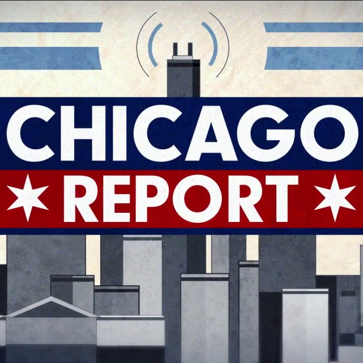 Rep. Boutros responds to scrutiny, data centers in the spotlight | The Chicago Report episode artwork