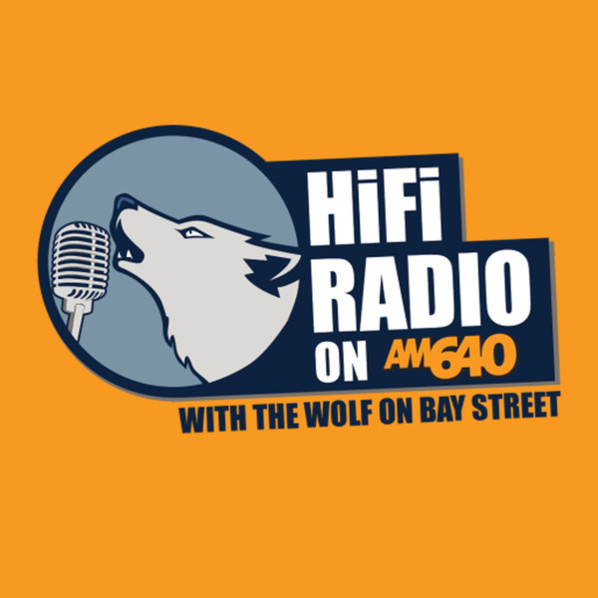 HiFi Radio with \