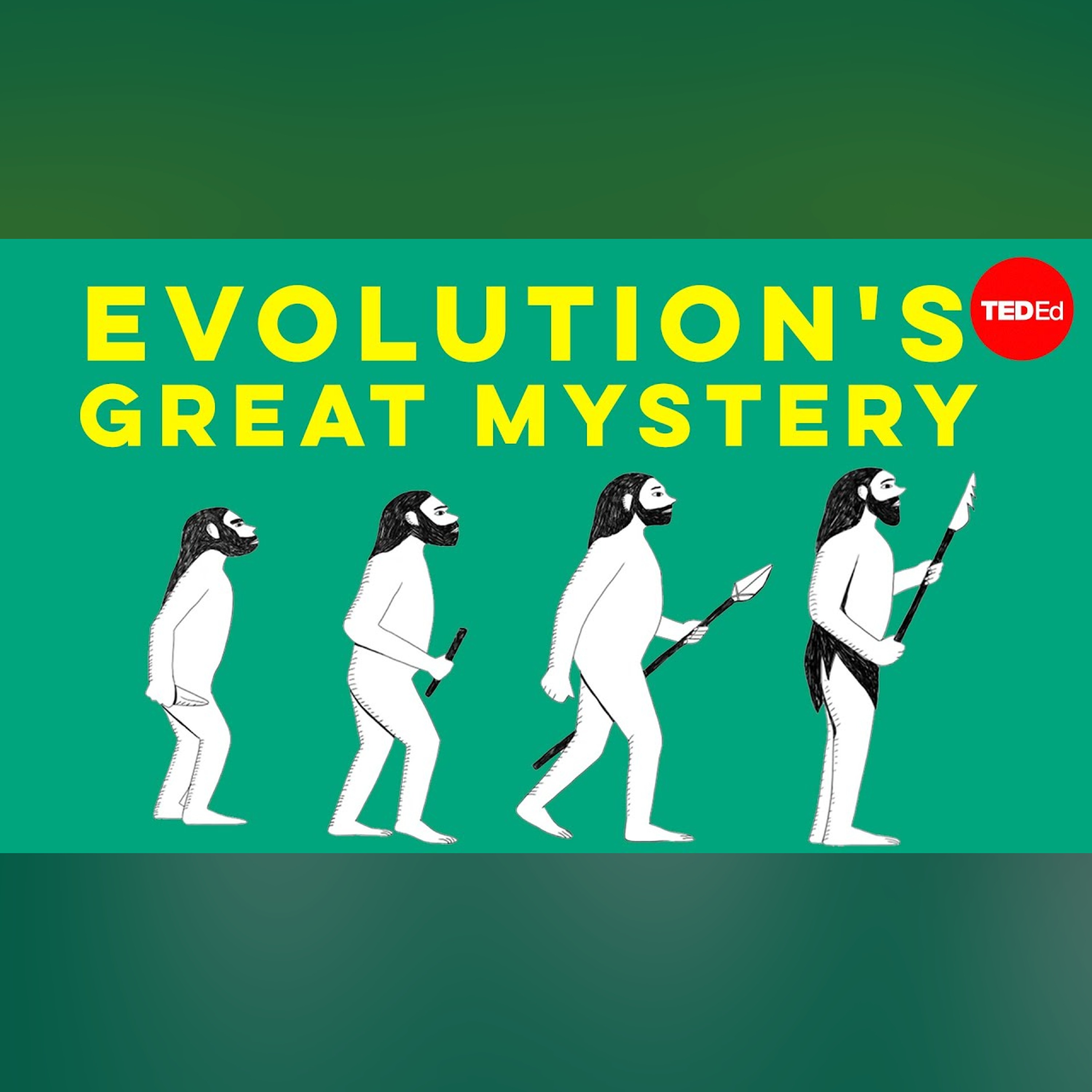 Evolution’s great mystery - Michael Corballis