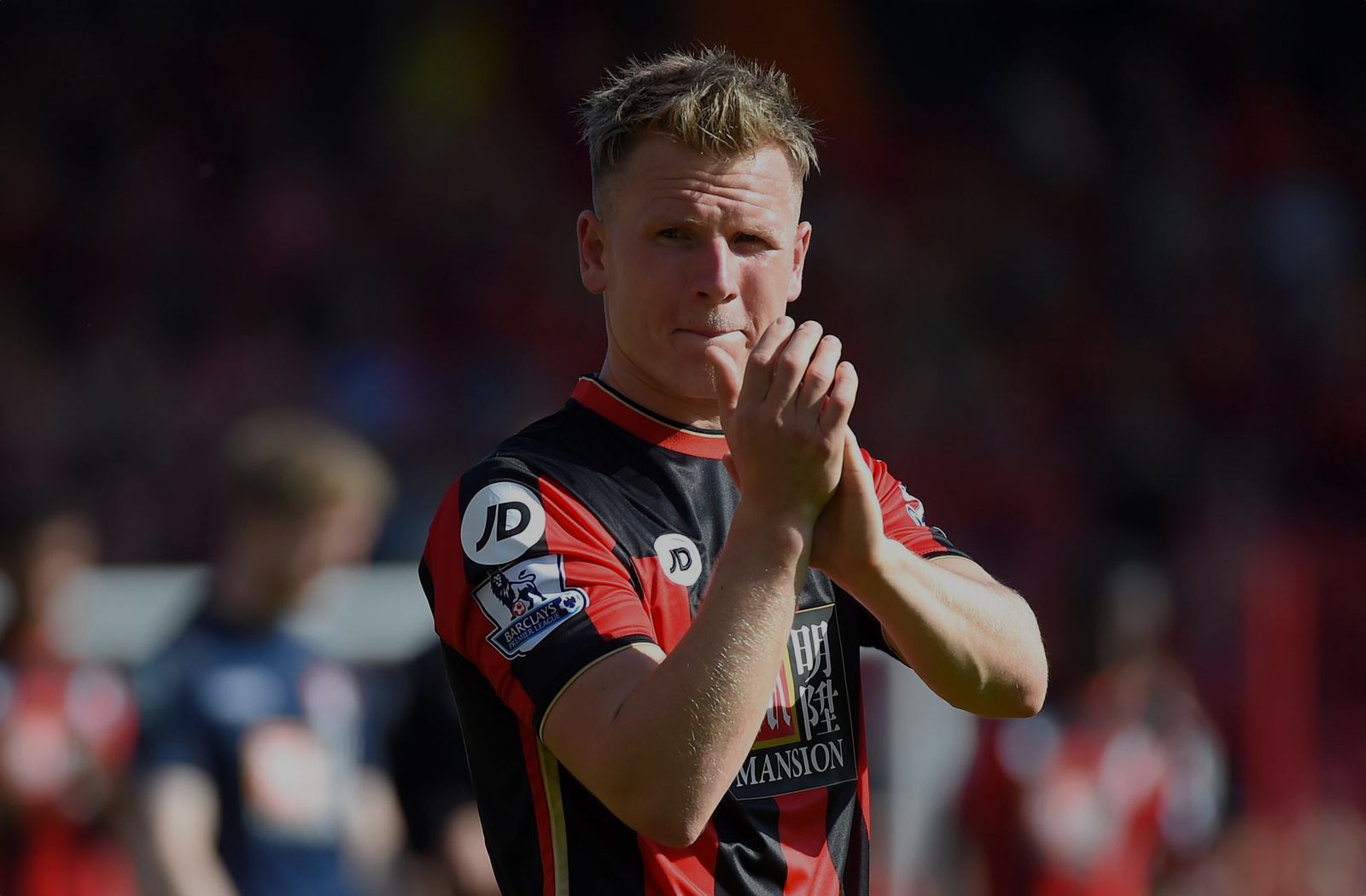 Back Of The Net - The AFC Bournemouth Podcast