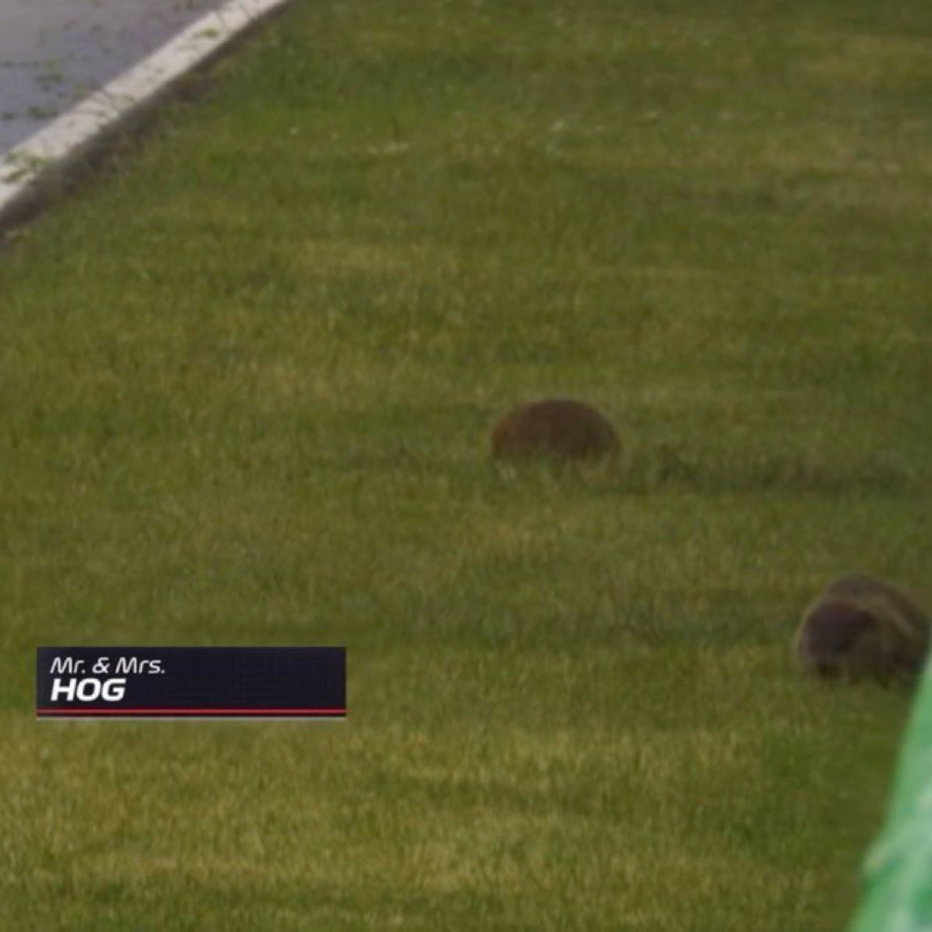 F1’s Canadian Grand Prix Just Changed EVERYTHING
