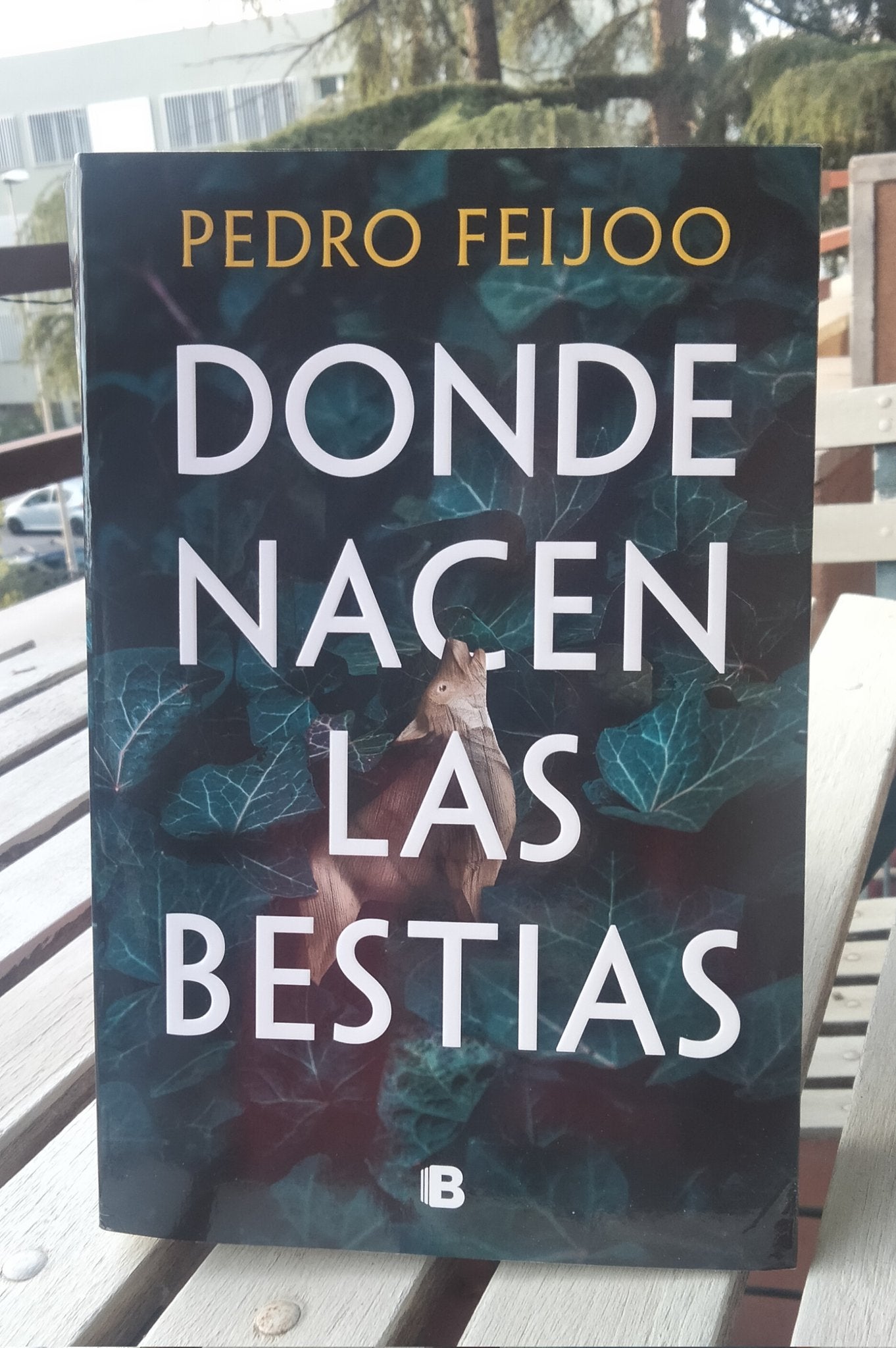 Romasanta, el hombre lobo de Allariz inspira la novela "Donde nacen las bestias"