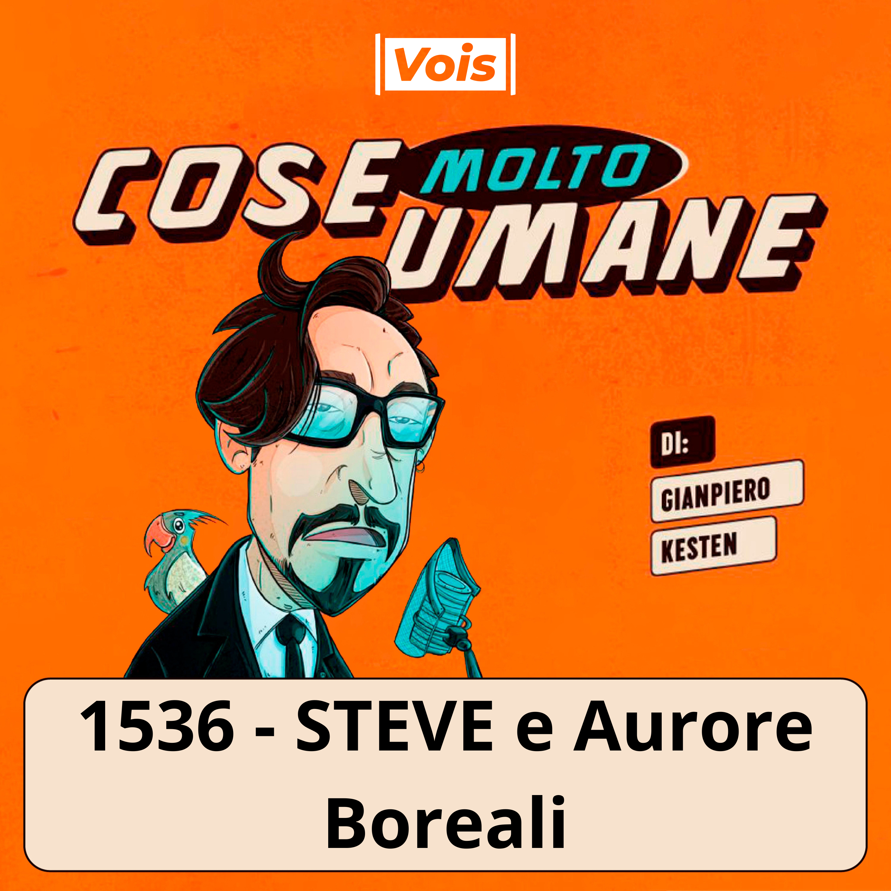 1536 - STEVE e Aurore Boreali