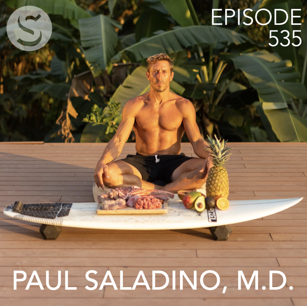 535 - Paul Saladino, M.D. and Brad Gerlach