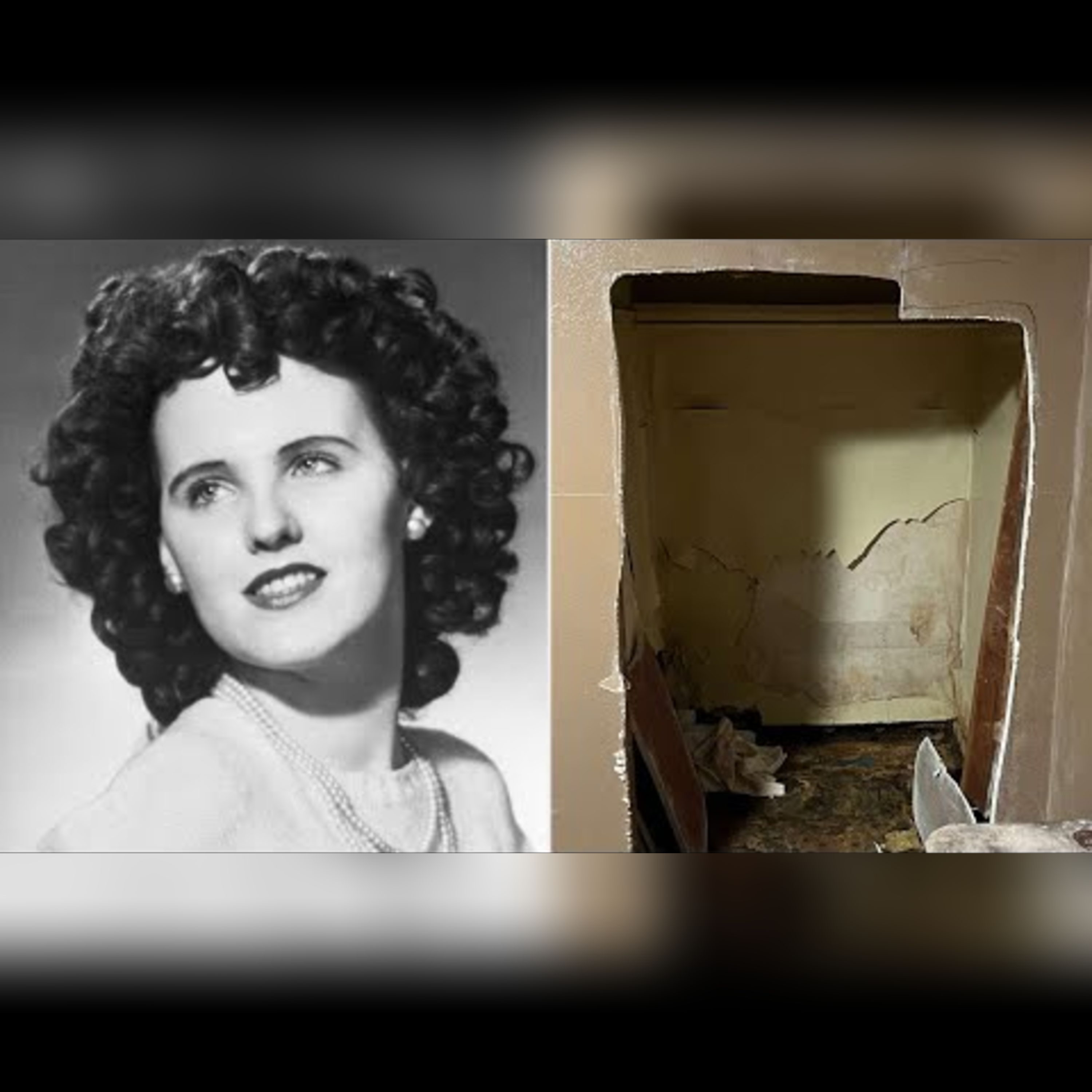 The Black Dahlia: The Location of the Murder episode artwork