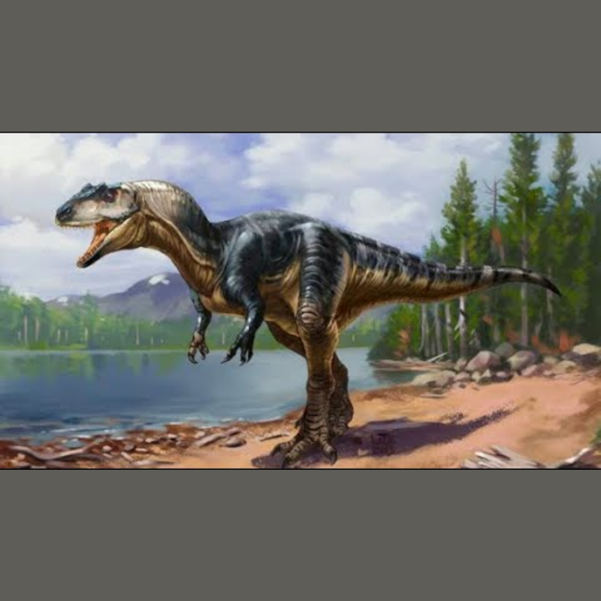 Allosaurus - Ancient Animal episode artwork