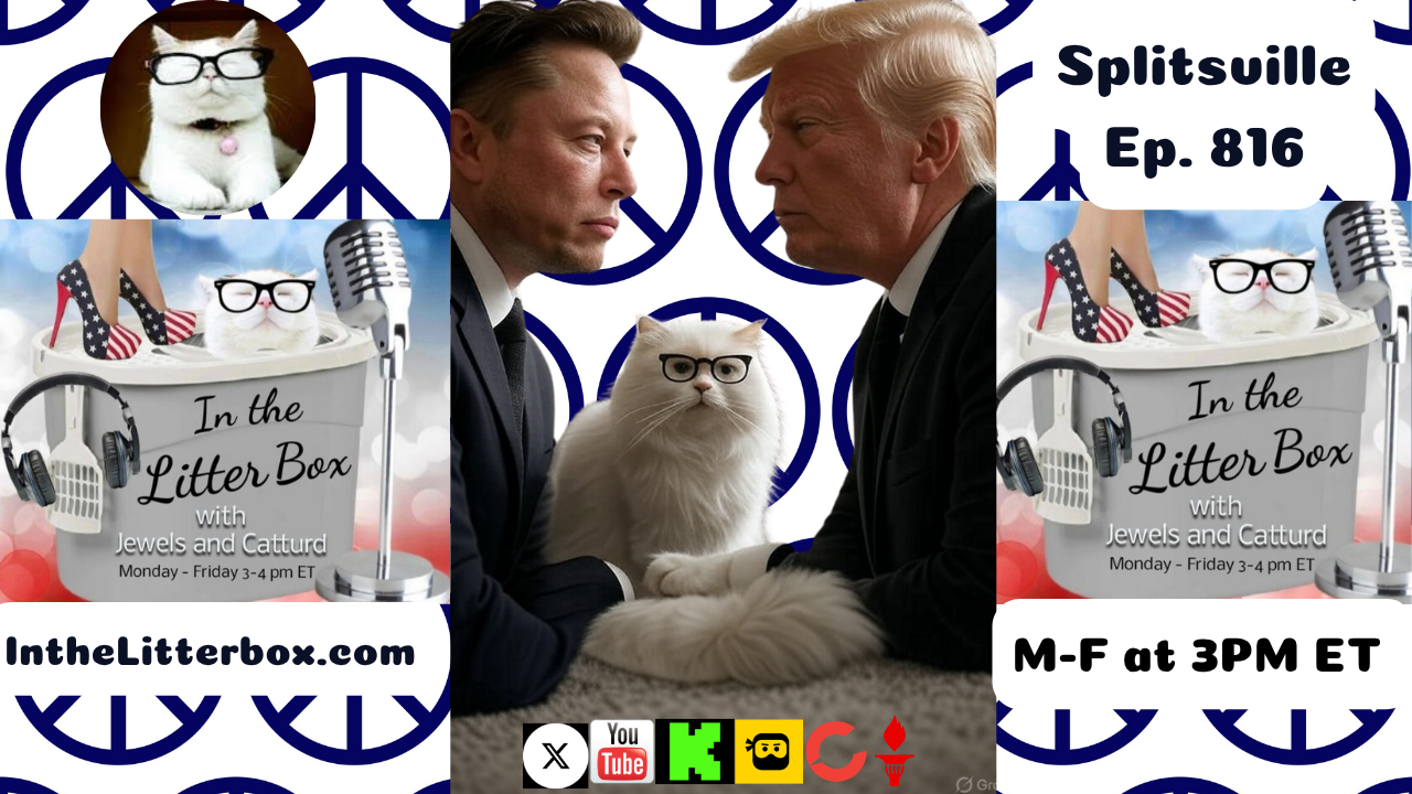 Splitsville | In the Litter Box w/ Jewels & Catturd – Ep. 816 – 6/6/2025