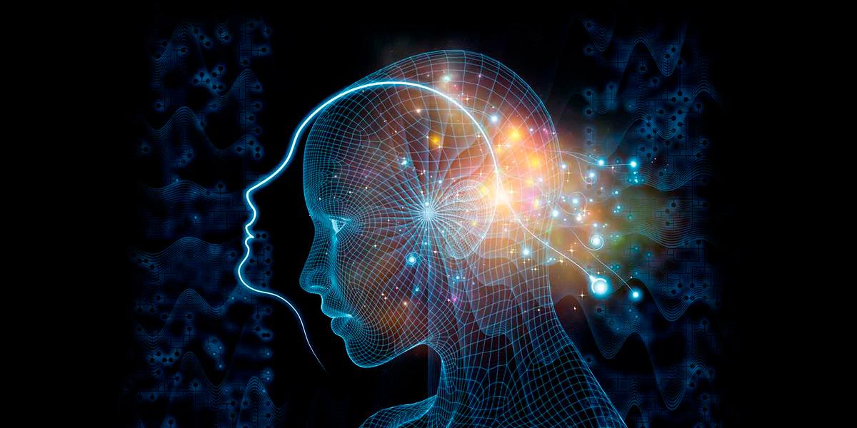 La ciencia descubre que los seres vivo emiten brillo