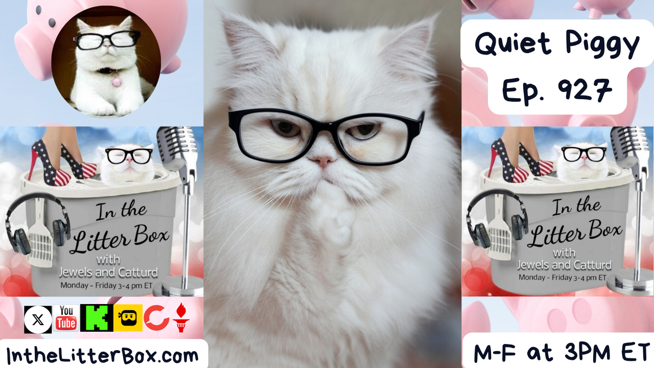 Quiet Piggy! | In the Litter Box w/ Jewels & Catturd – Ep. 927 – 11/20/2025