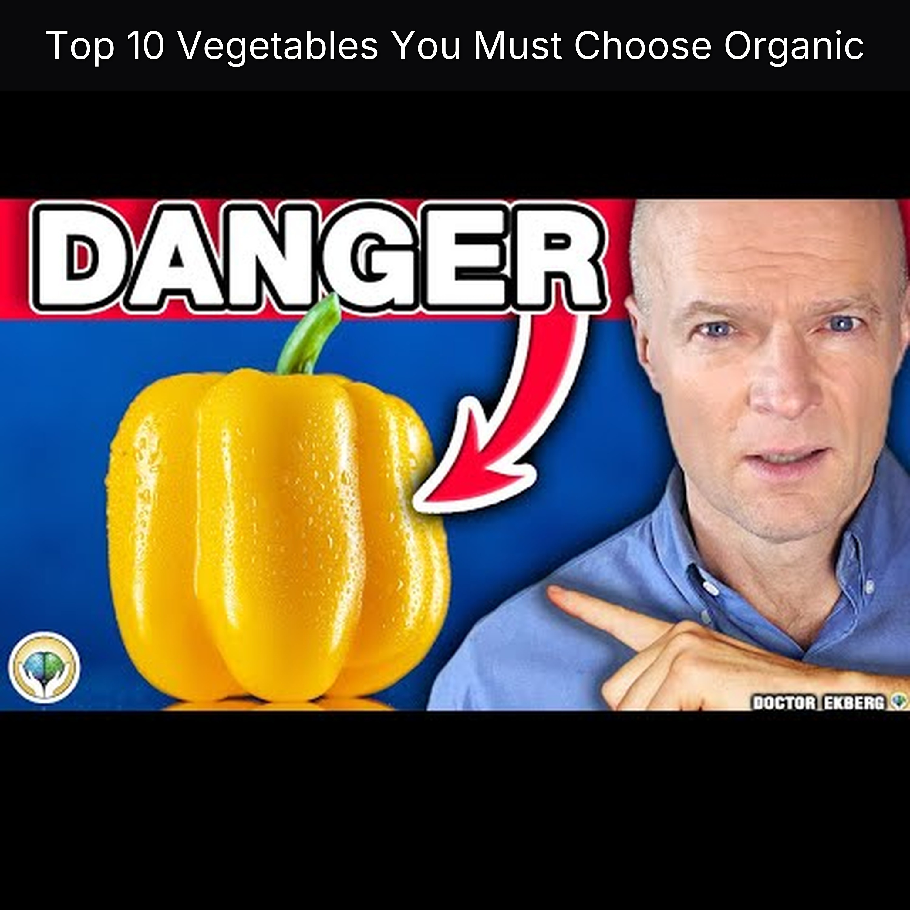 Top 10 Vegetables You Must Choose Organic