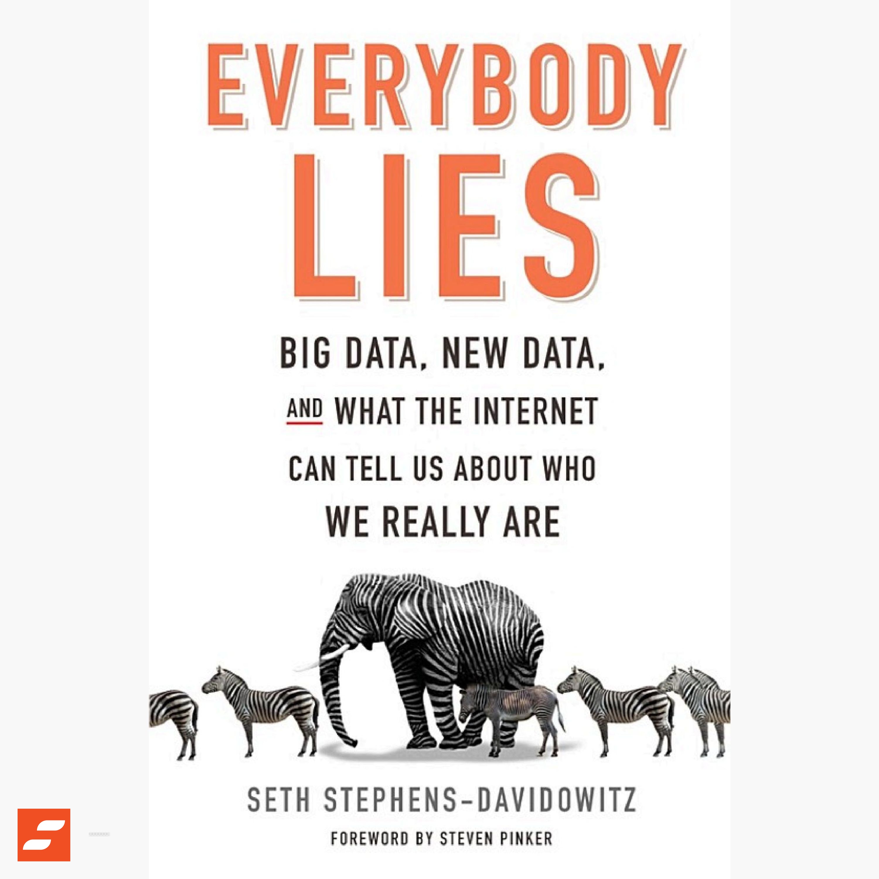 Everybody Lies Summary | Seth Stephens-Davidowitz