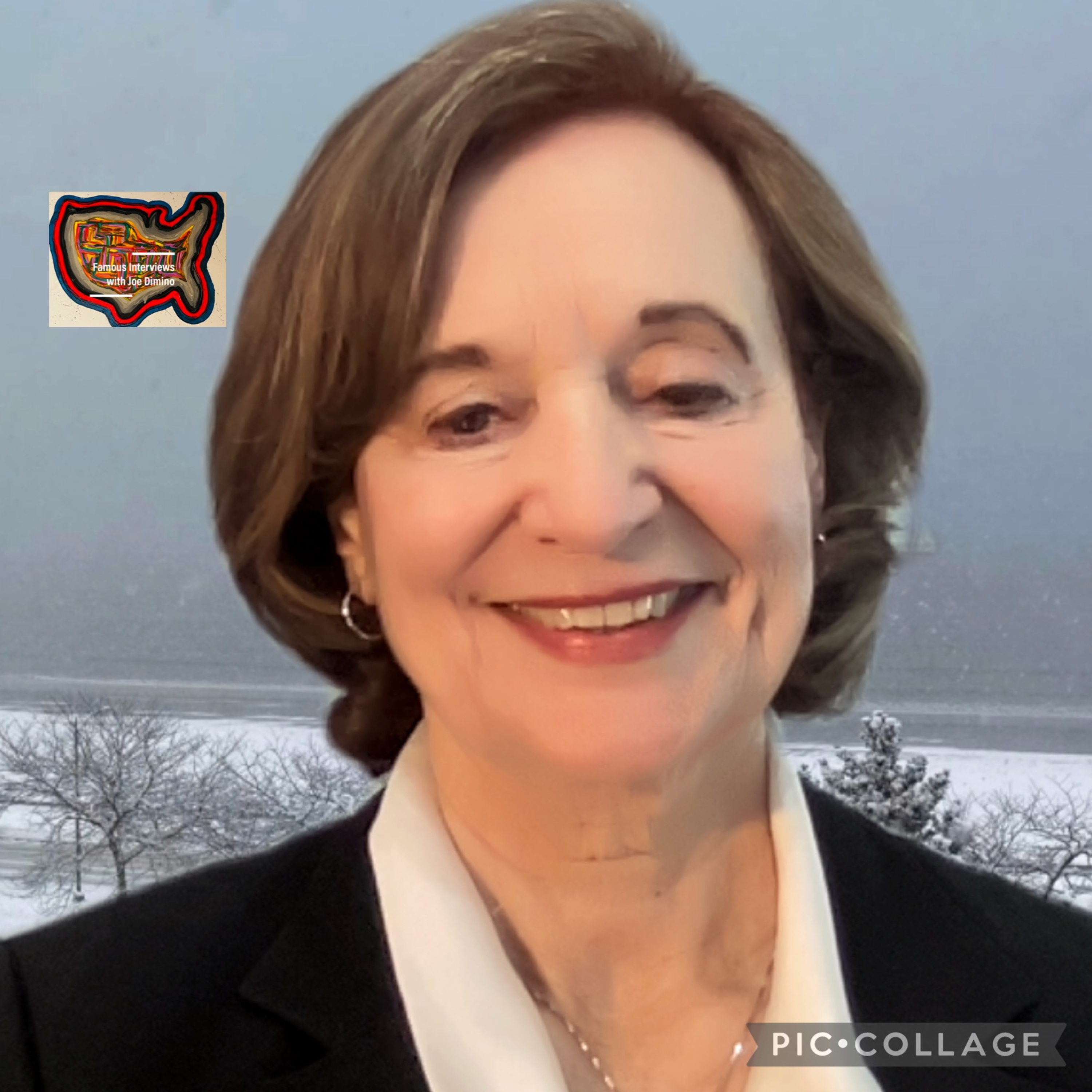 CEO/Founder, Consultant & Author Sharon Seivert episode artwork