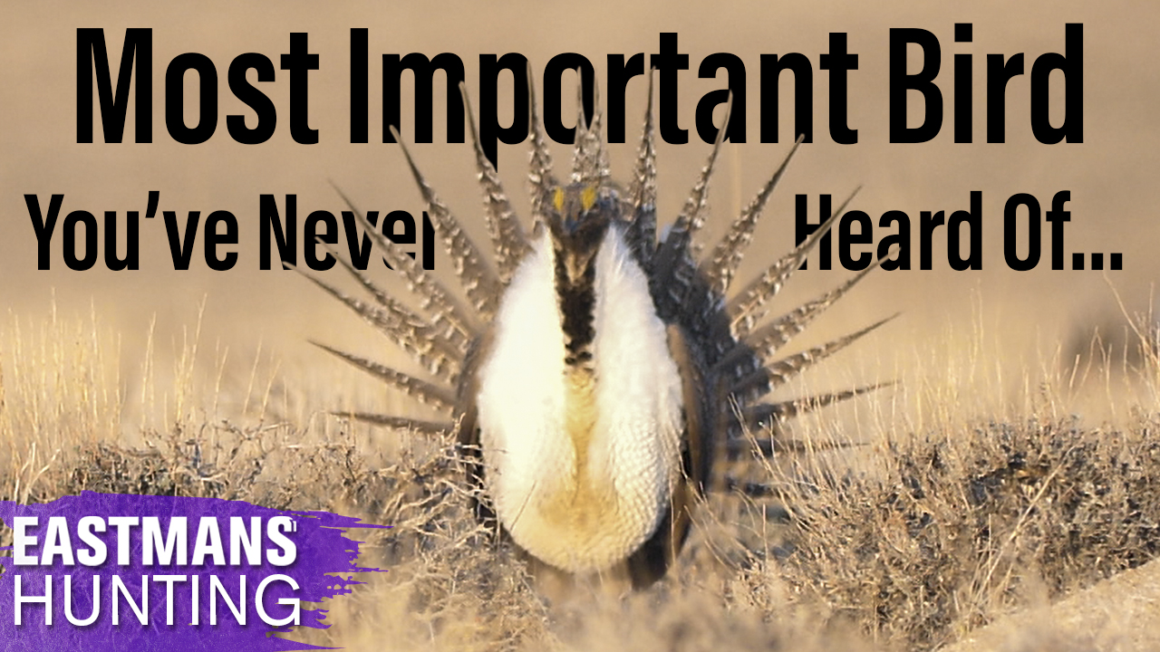 DSC Campfires with Larry Weishuhn