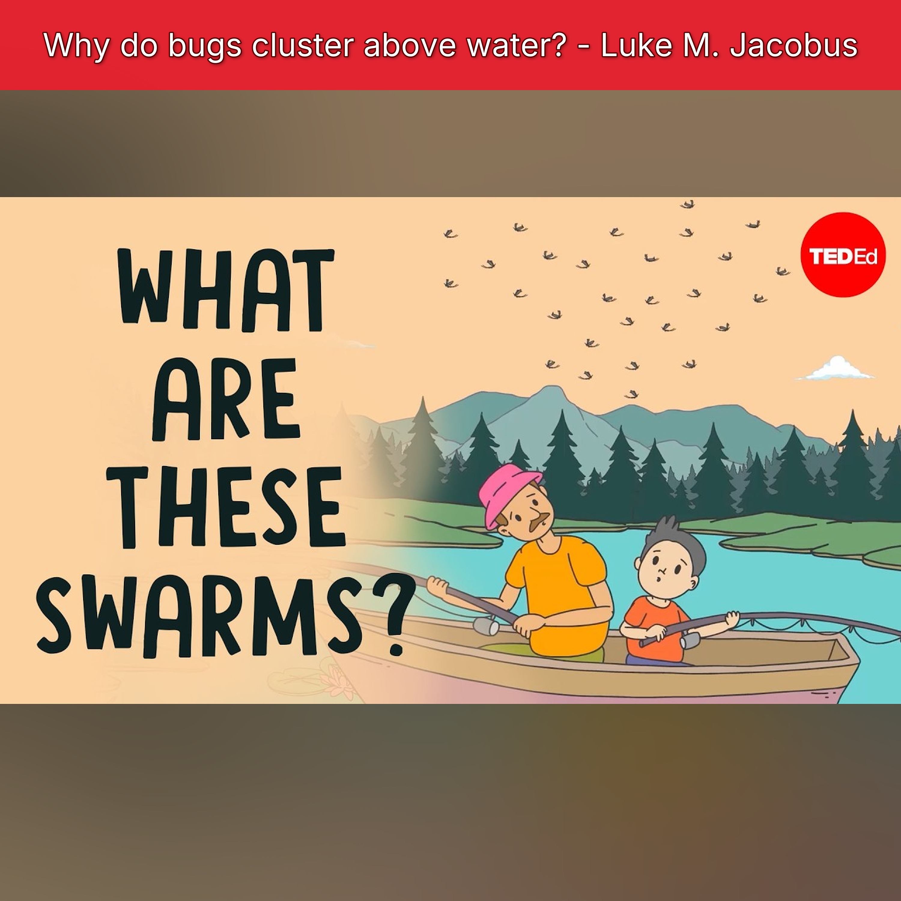 Why do bugs cluster above water? - Luke M. Jacobus episode artwork