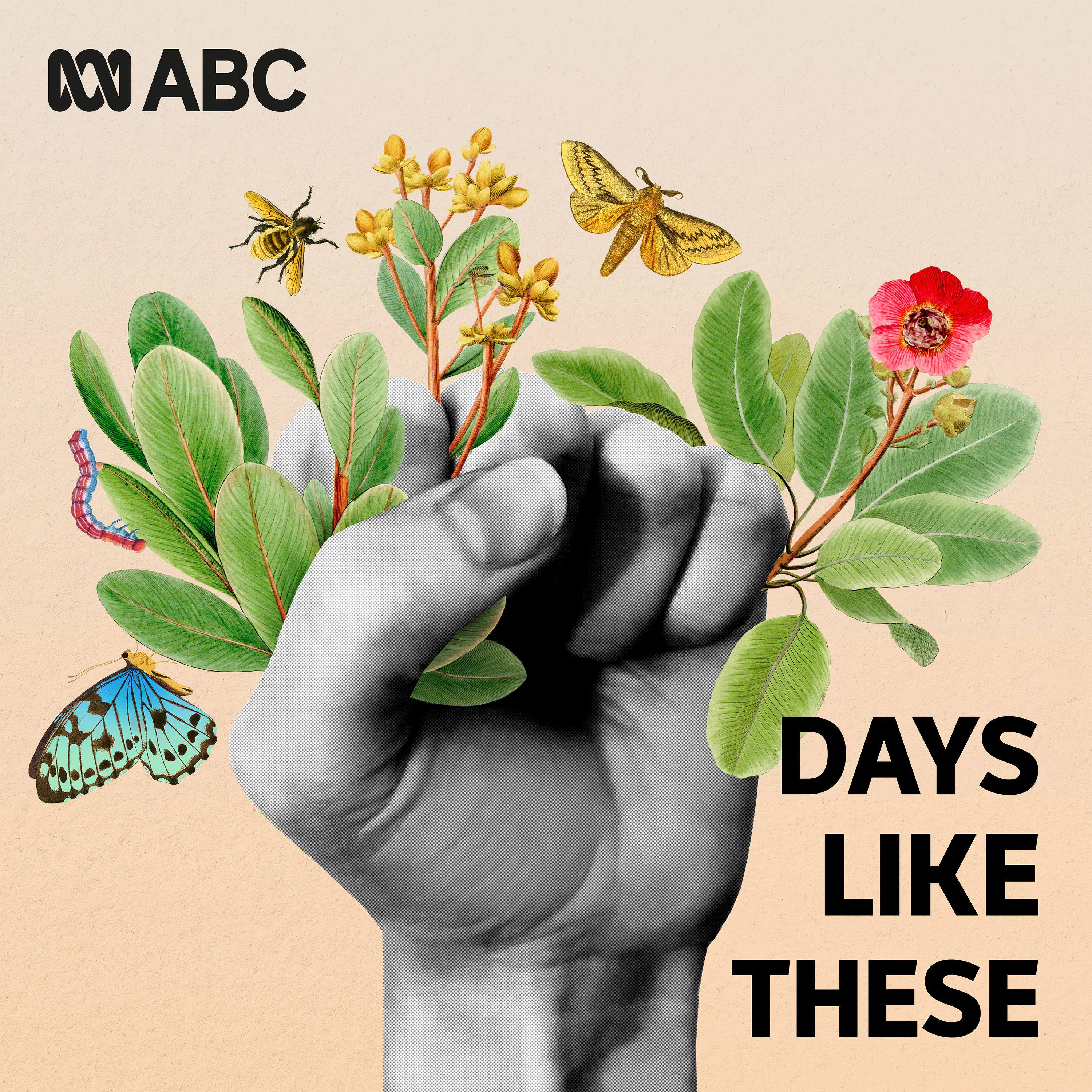 Days Like These cover