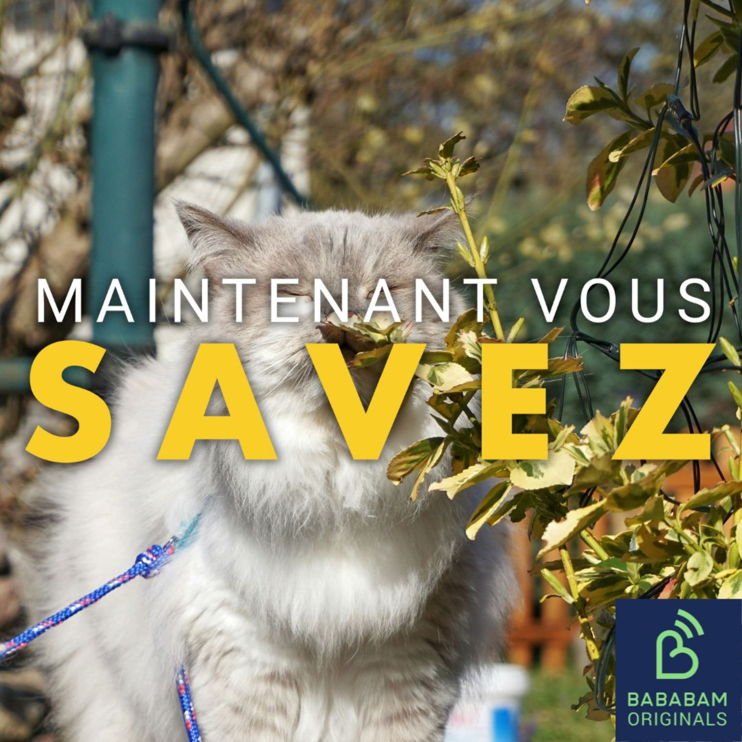 Les odeurs ont-elles une influence sur nos décisions ?