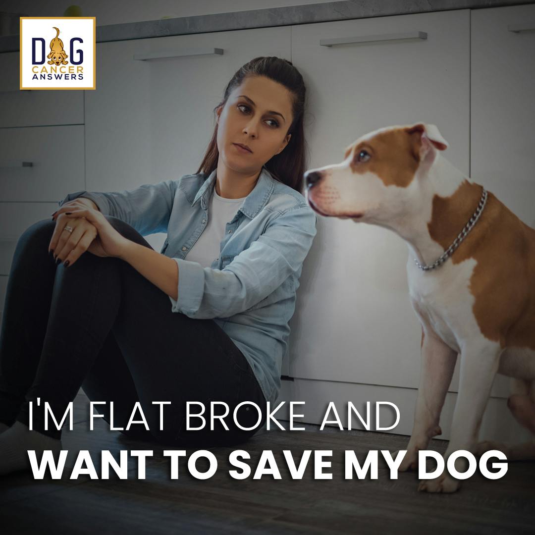 I’m Flat Broke ... And I Want to Save My Dog! │ Molly Jacobson Deep Dive