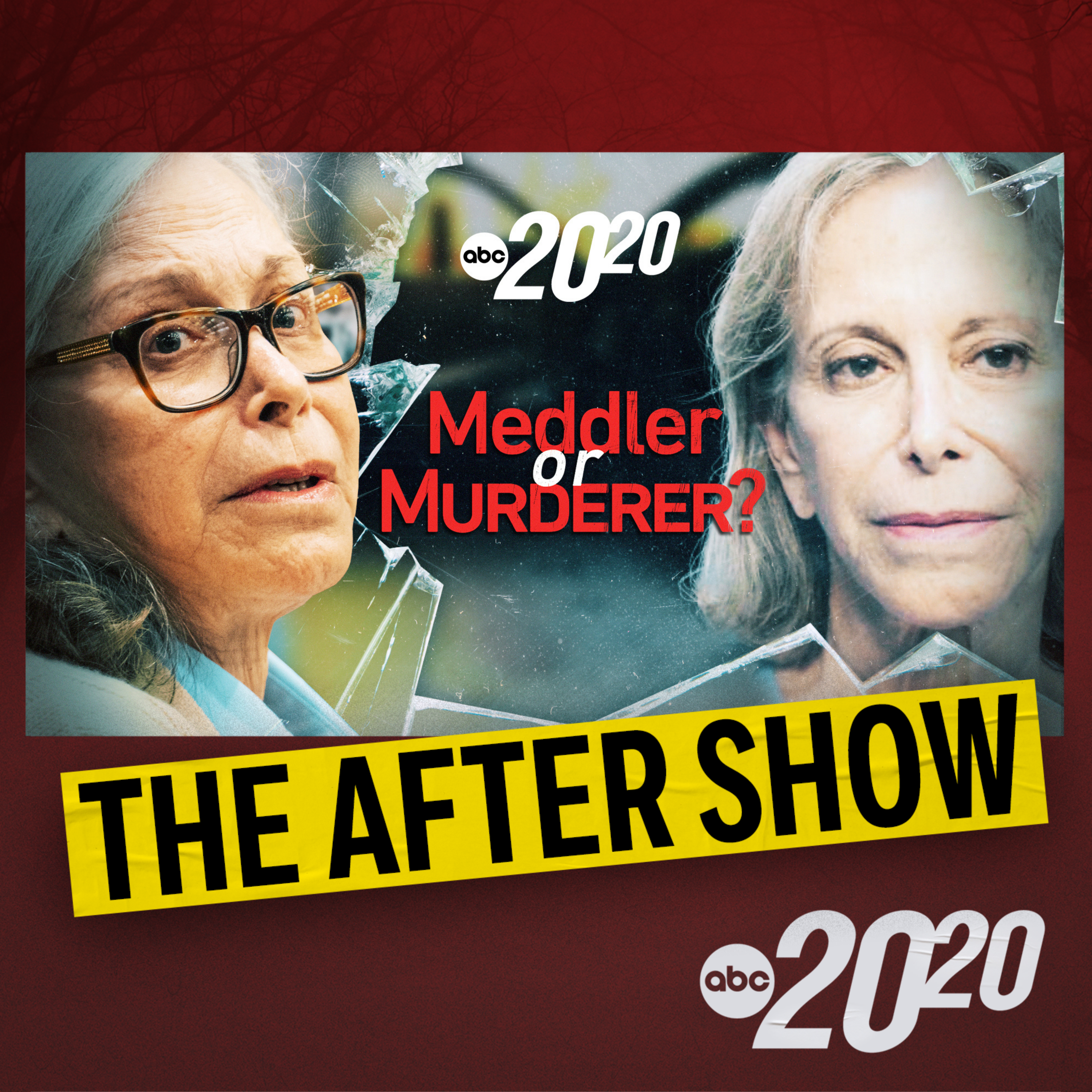 The After Show: Meddler or Murderer?