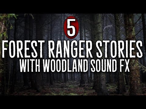 5 Forest Ranger Stories with Forest Sound Effects episode artwork