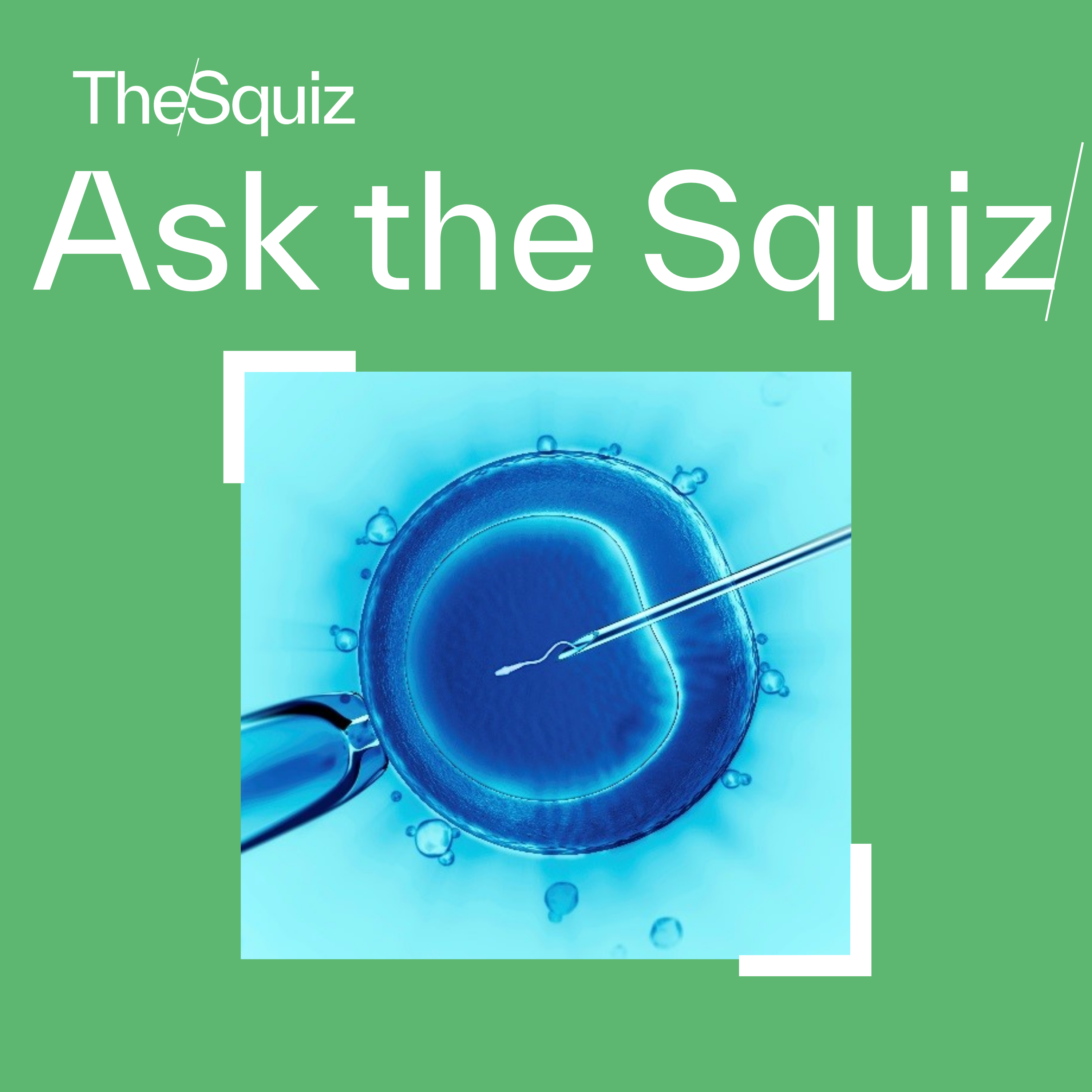 Ask the Squiz: How GDP works, and what's changed in the fertility industry