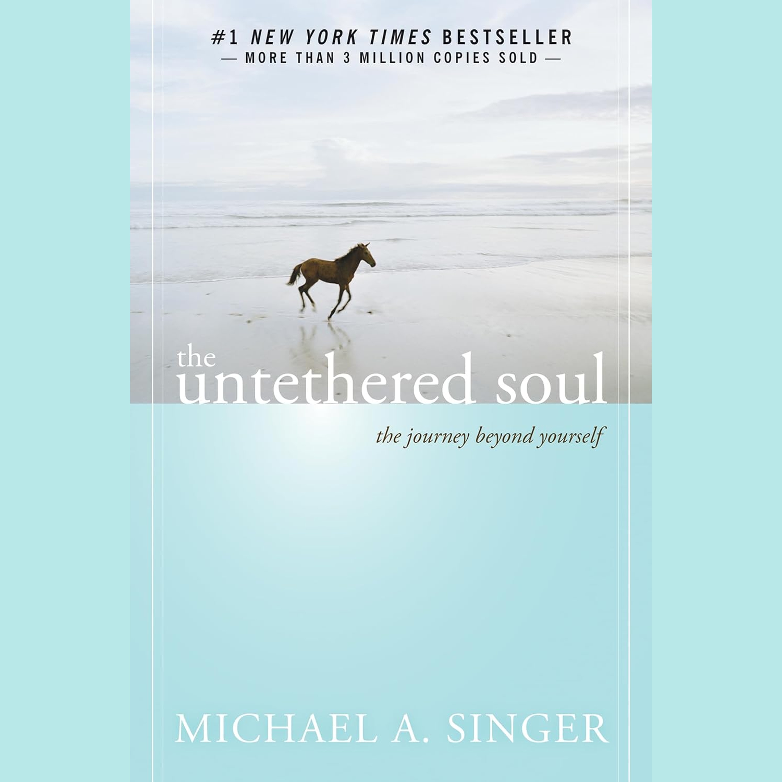 Die Seele will frei sein Zusammenfassung | Michael Singer (The Untethered Soul) episode artwork