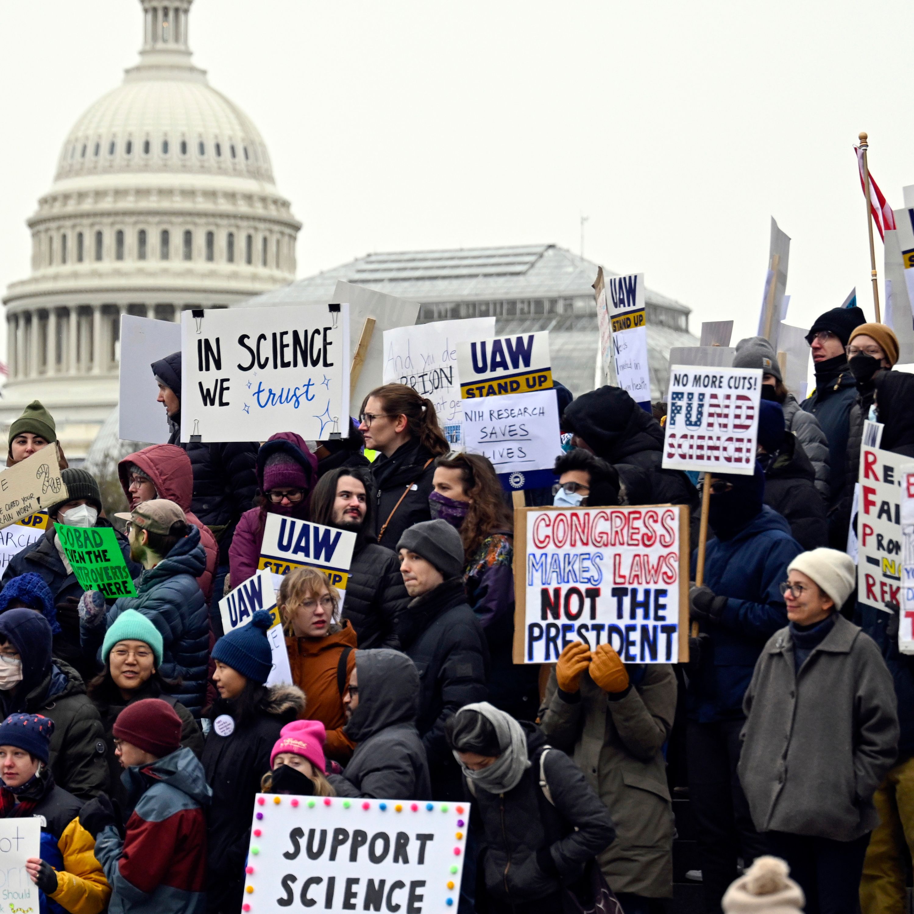 Trump’s NIH Cuts Leave 74,000 Patients Without Trials