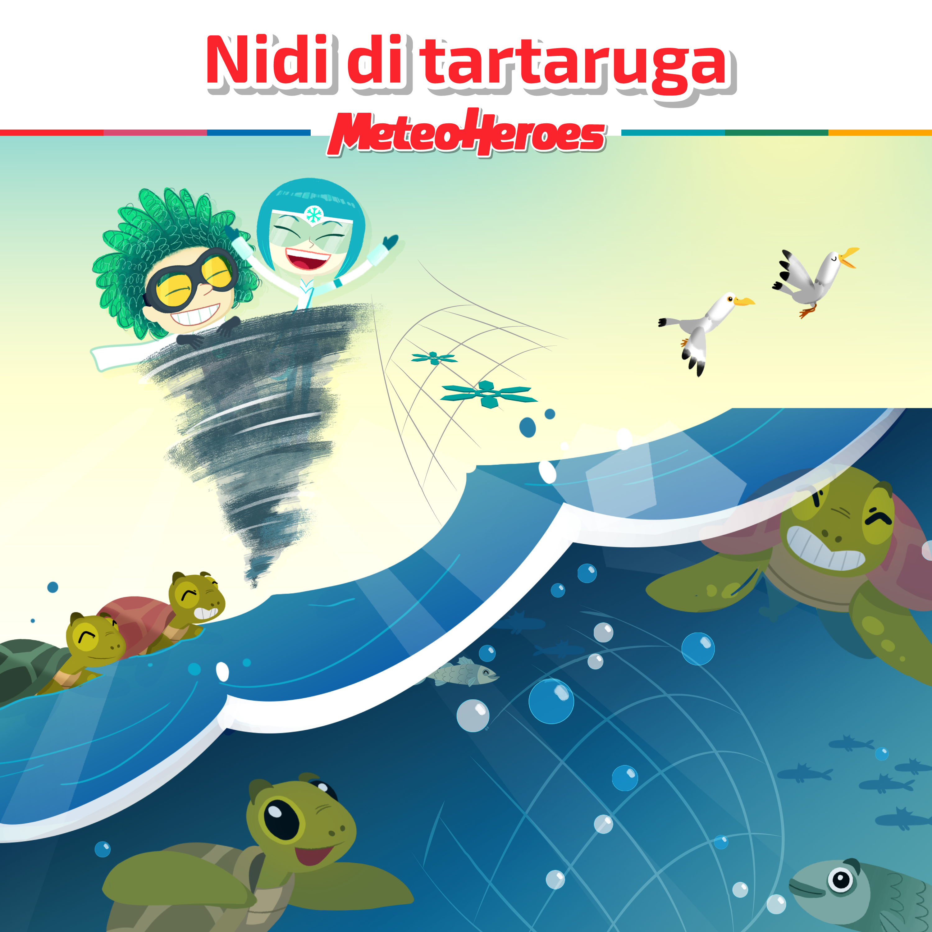 04 Nidi di tartaruga