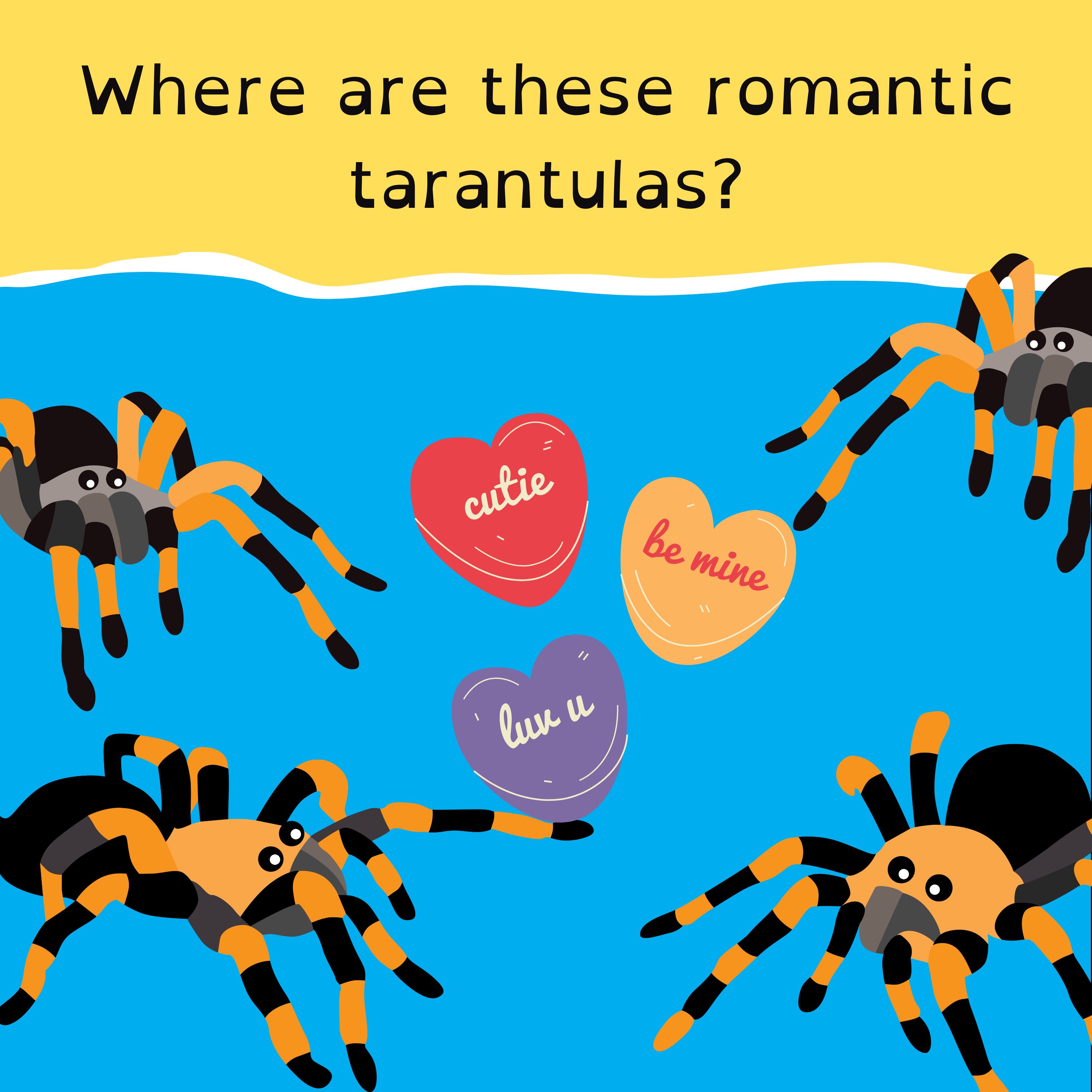 Big win for Aussie penguins; Tarantula season in the desert; the very curious koala; and Mario Kart blindfold champion