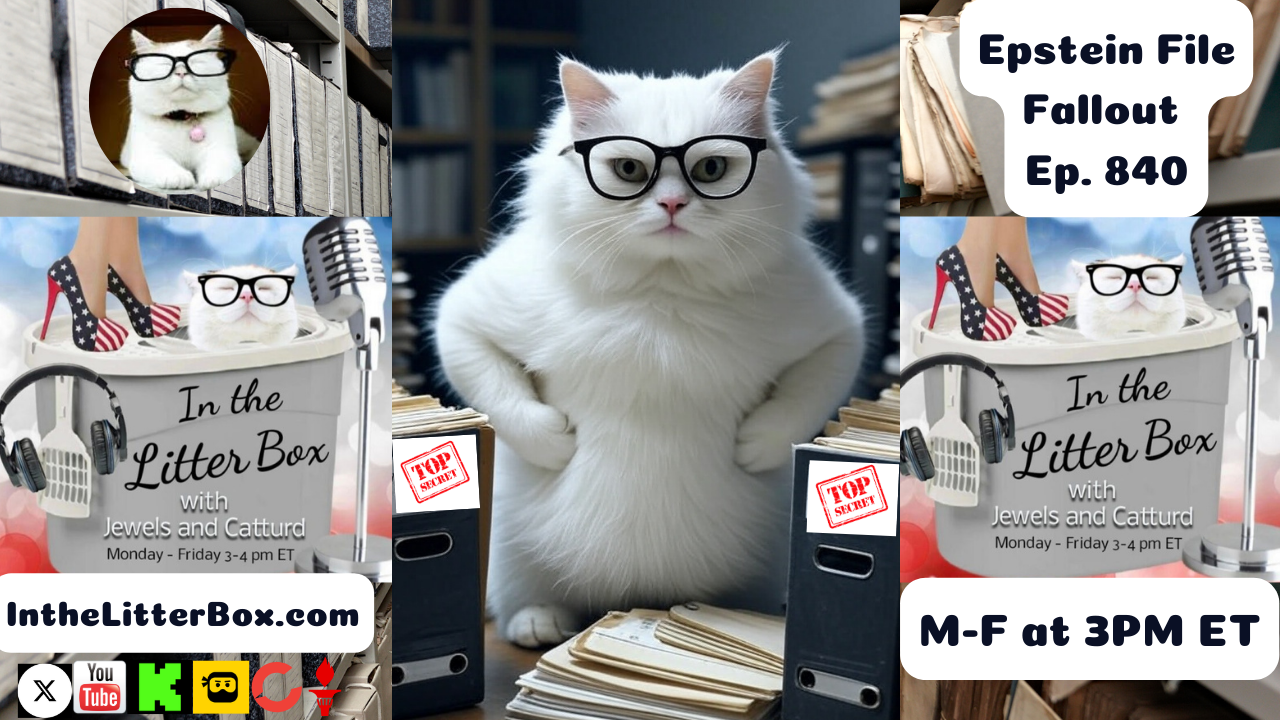 Epstein File Fallout | In the Litter Box w/ Jewels & Catturd – Ep. 840 – 7/14/2025