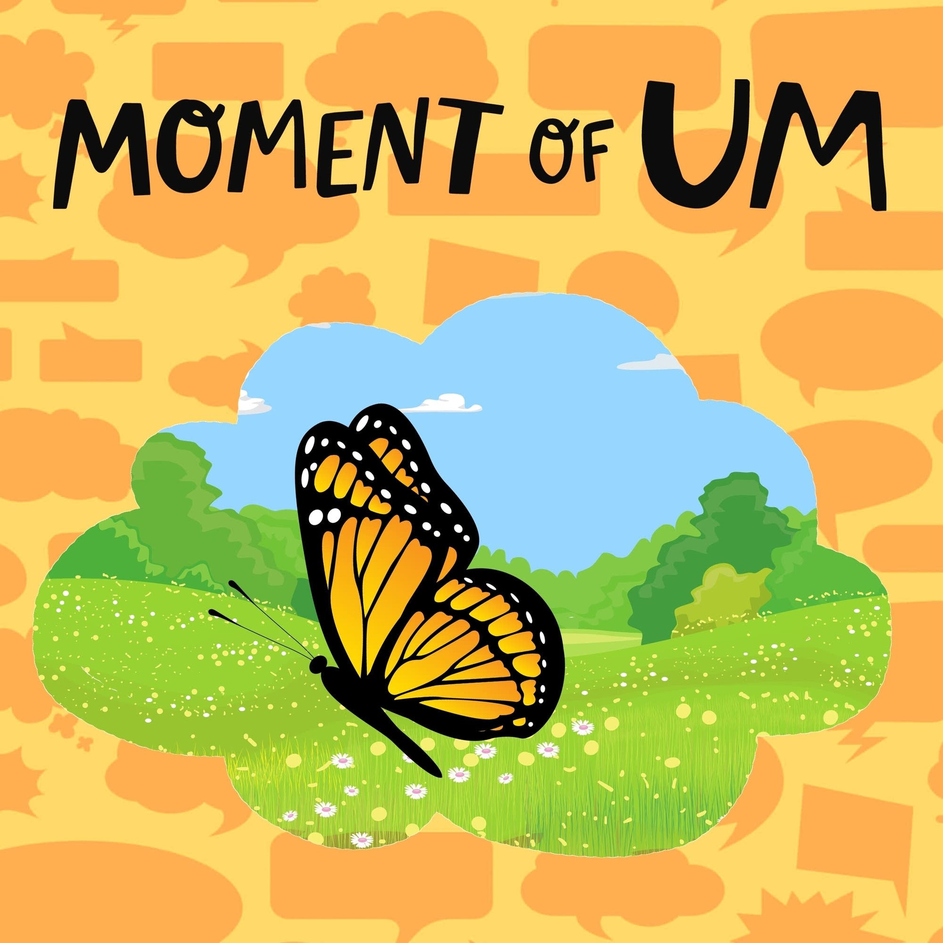 Do butterflies sleep?