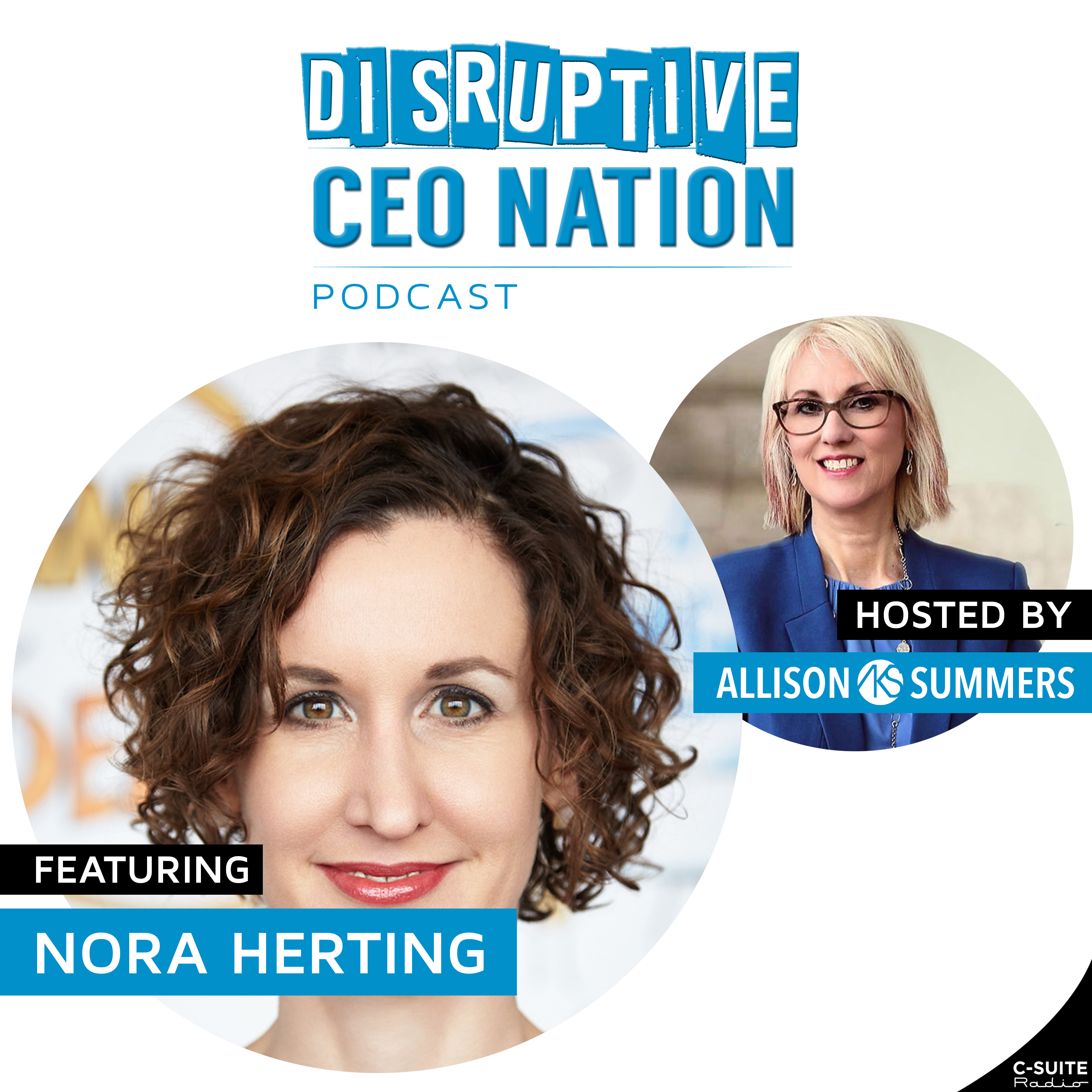 EP 113 Nora Herting, International Visual Strategist, CEO, Co-Founder of ImageThink