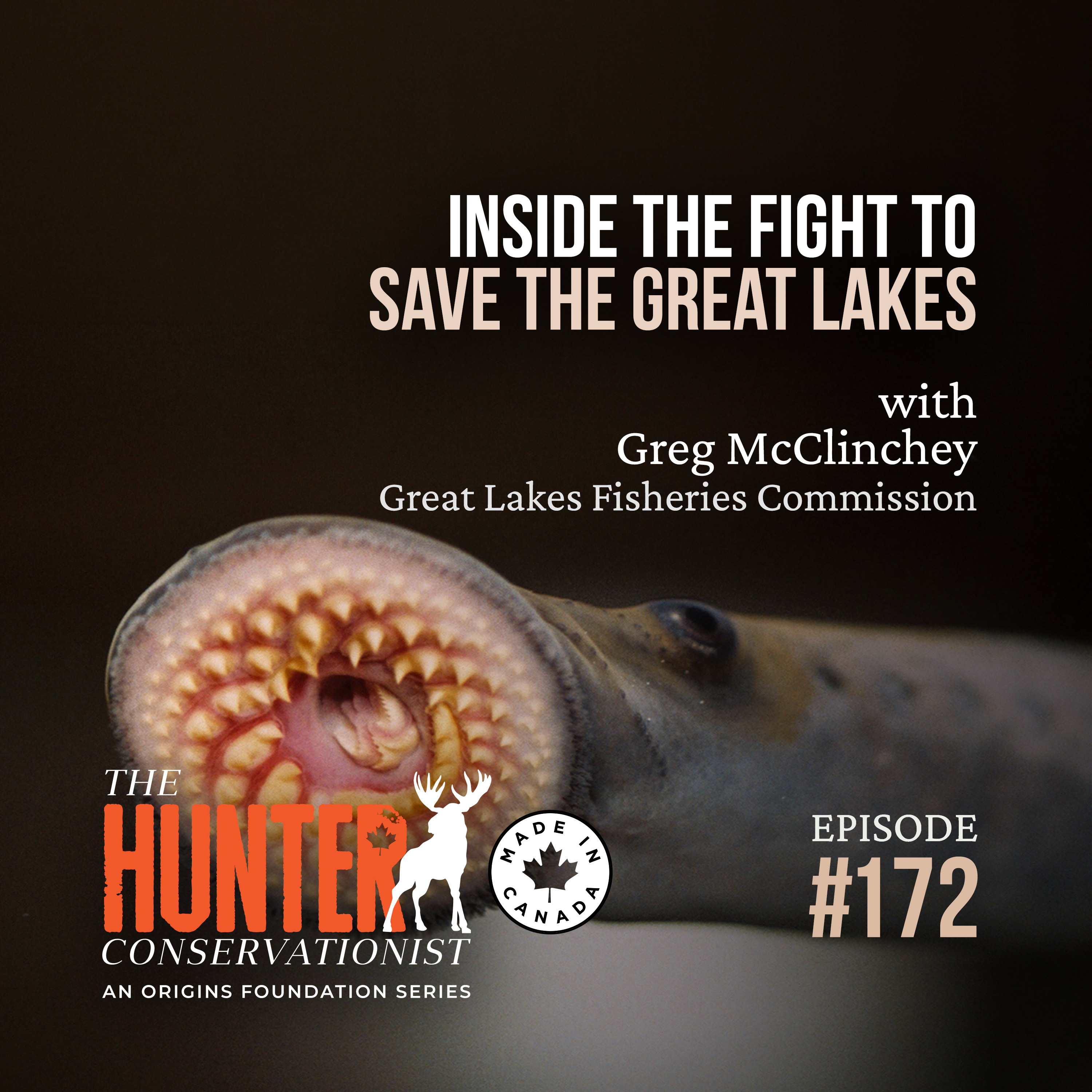 Inside the Fight to Save the Great Lakes || HC Podcast || Ep. 172 episode artwork