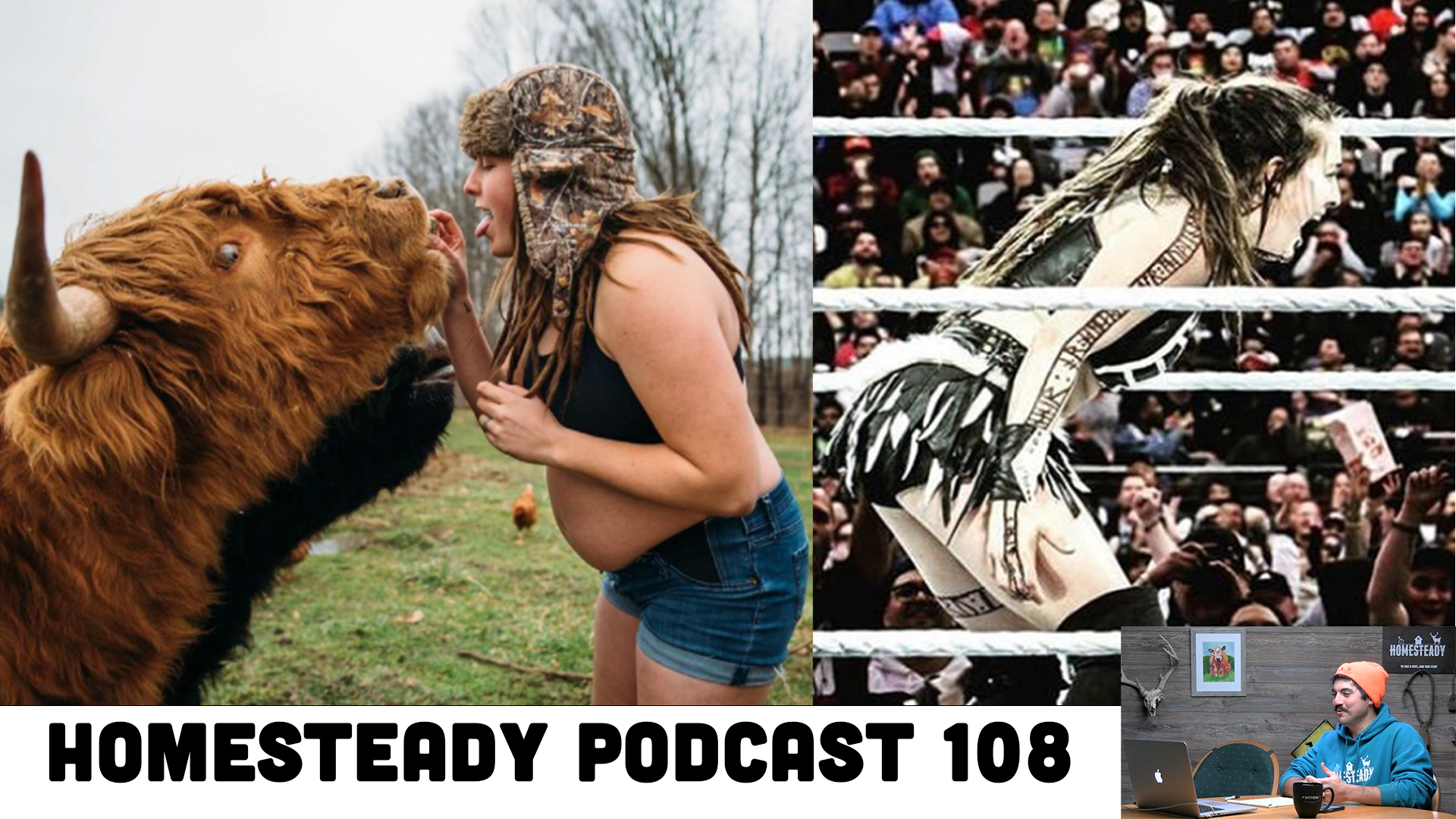 Homesteady - Stories of Living off the Land