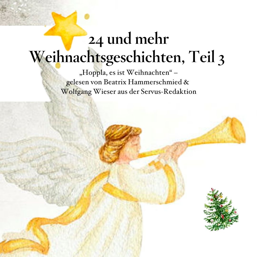 🎄 24 und mehr Adventgeschichten – Teil 3: Hoppla, es ist Weihnachten - #Servus im Advent