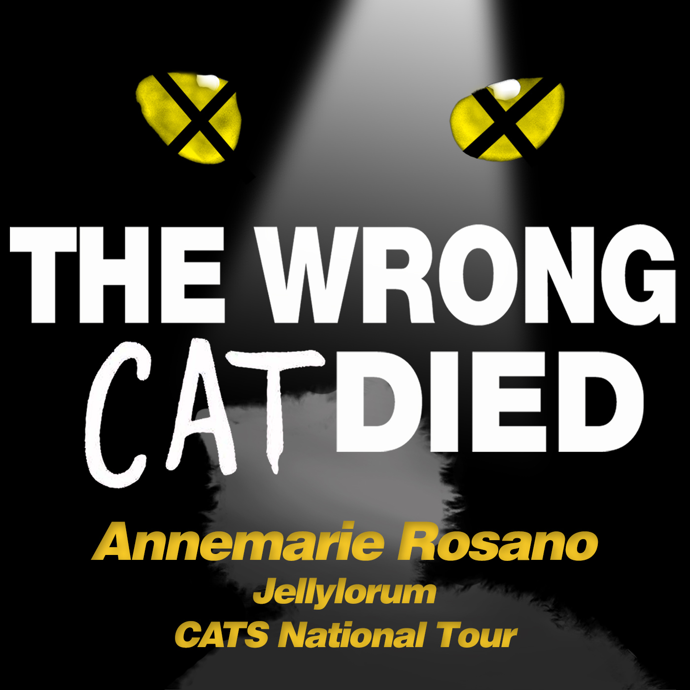 Ep27 - Annemarie Rosano, Jelly from the National Tour episode artwork