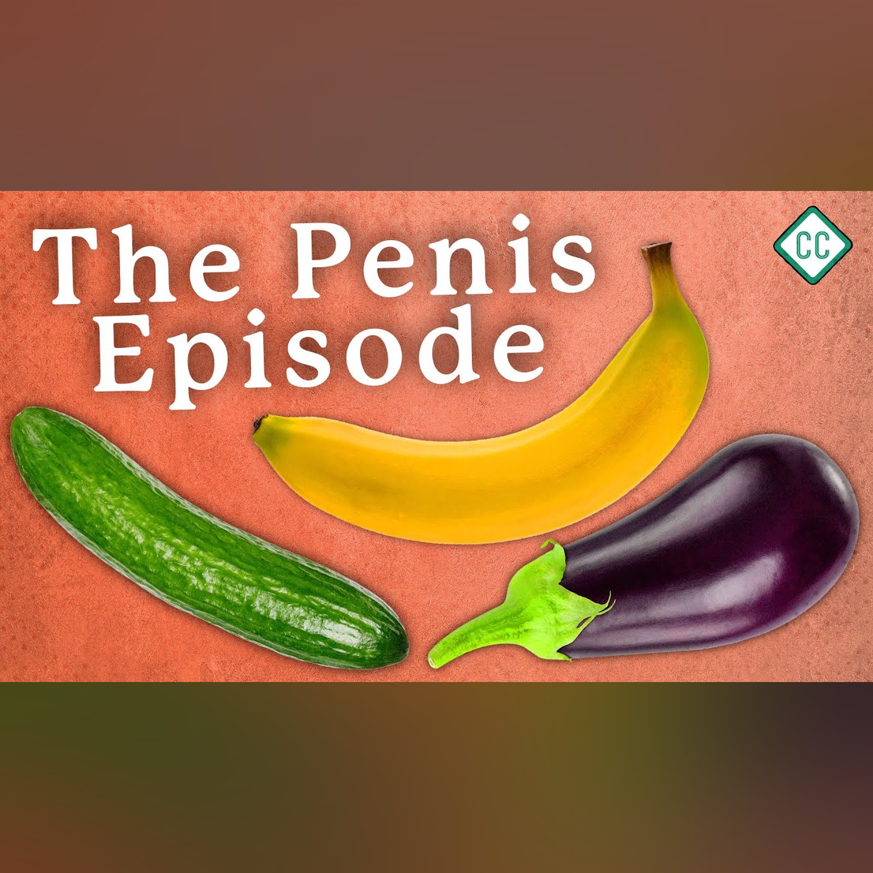 The Penis Explained: Sex Ed #3