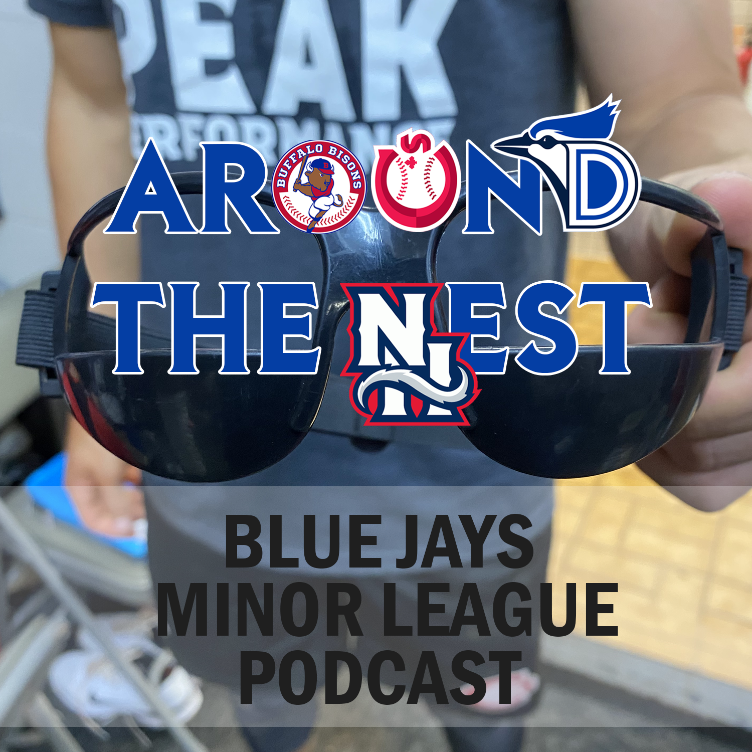 Around The Nest Episode 1 - What are These Weird Glasses?