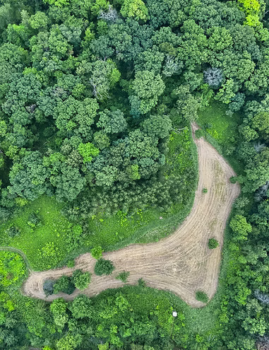 66. The BIGGEST Food Plot Fails, and How to Avoid Them