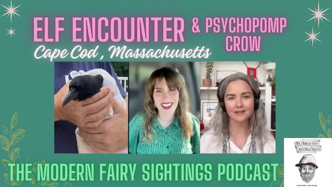 Ep 114: Elf Encounter & Psychopomp Crow (Cape Cod, Massachusetts) episode artwork