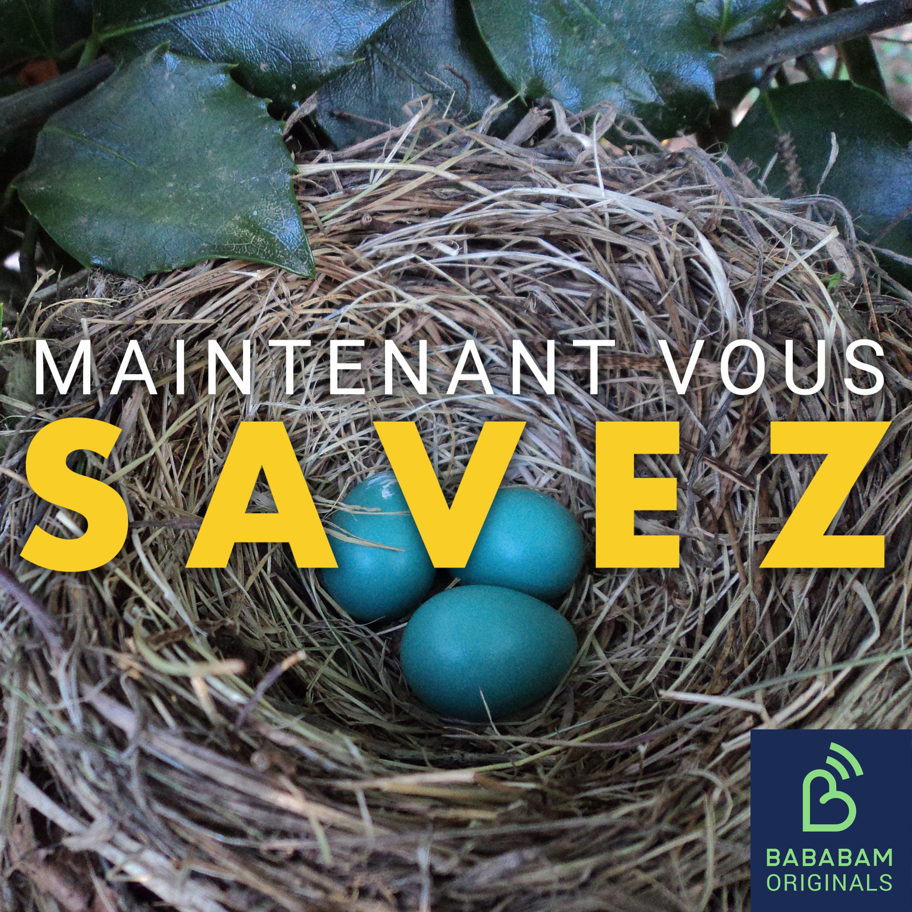 Qu’est-ce que le syndrome du nid vide ?