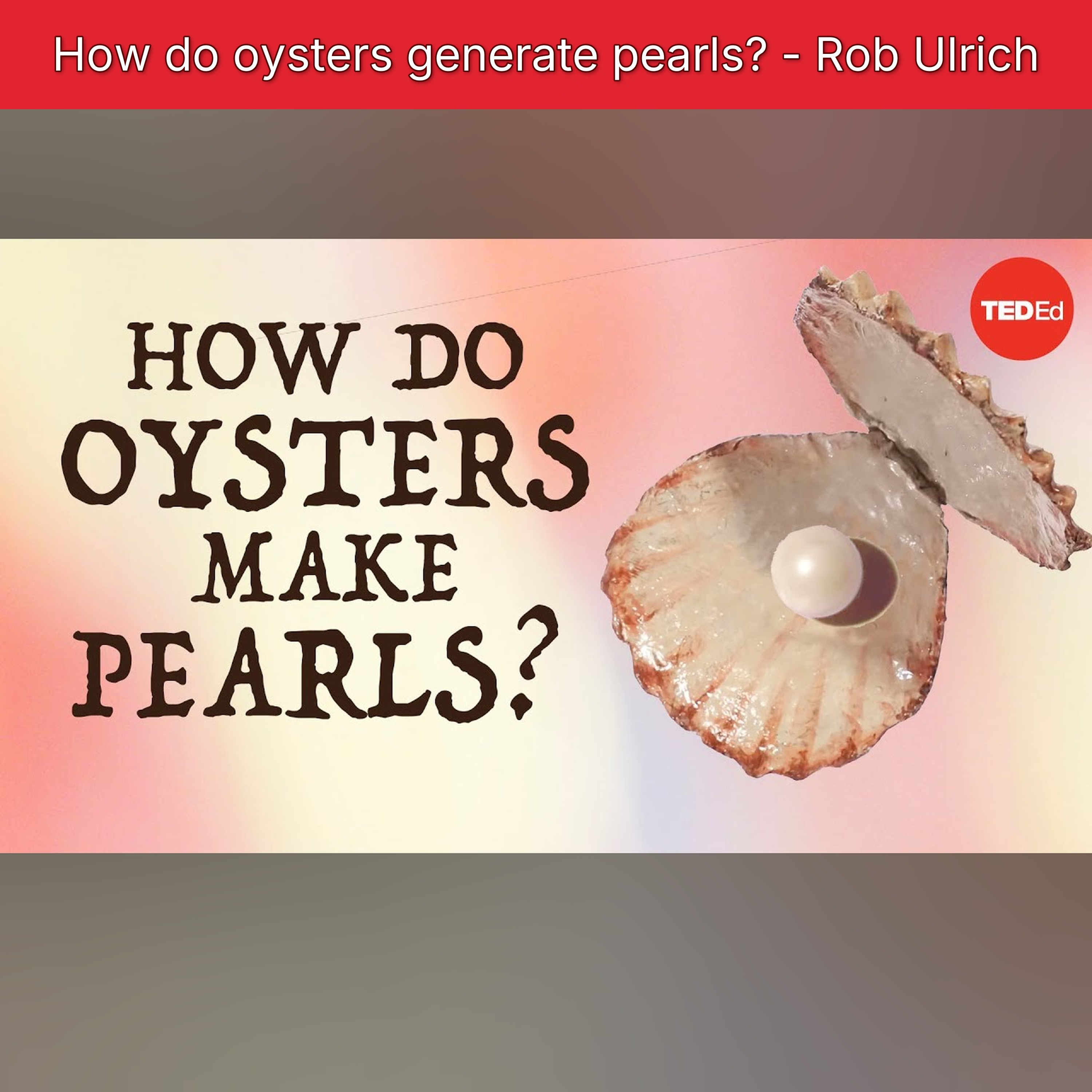 How do oysters generate pearls? - Rob Ulrich episode artwork