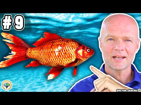 Top 10 "Healthy" Foods That Are Killing You! (Most People Eat These Daily)