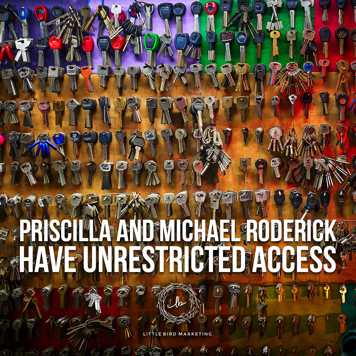 Priscilla and Michael Roderick Have Unrestricted Access episode artwork