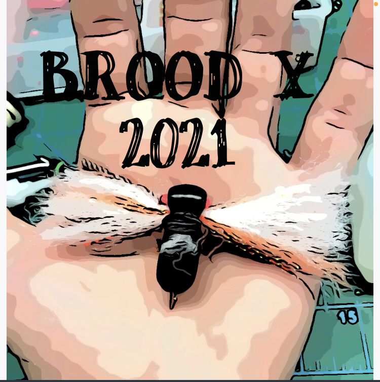 Fly Fishing Consultant Podcast