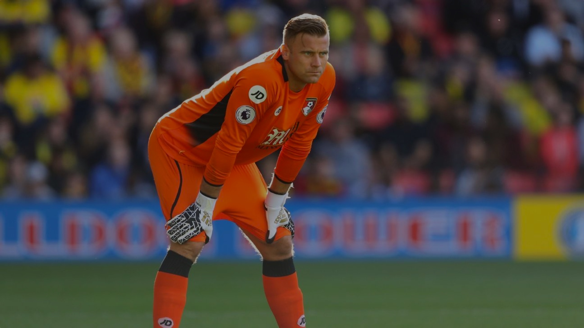 Back Of The Net - The AFC Bournemouth Podcast