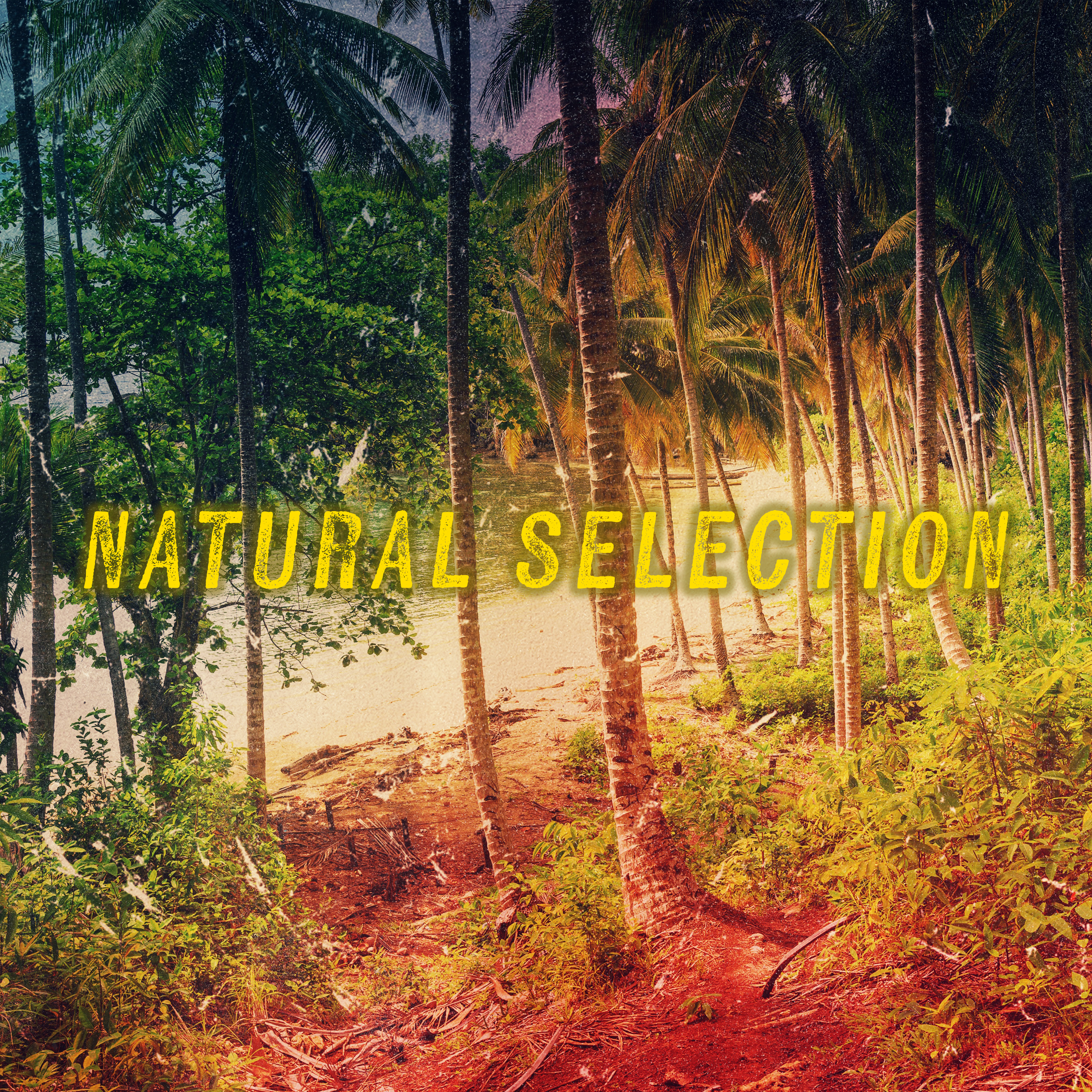 Natural Selection: Scott v. Wild Bill