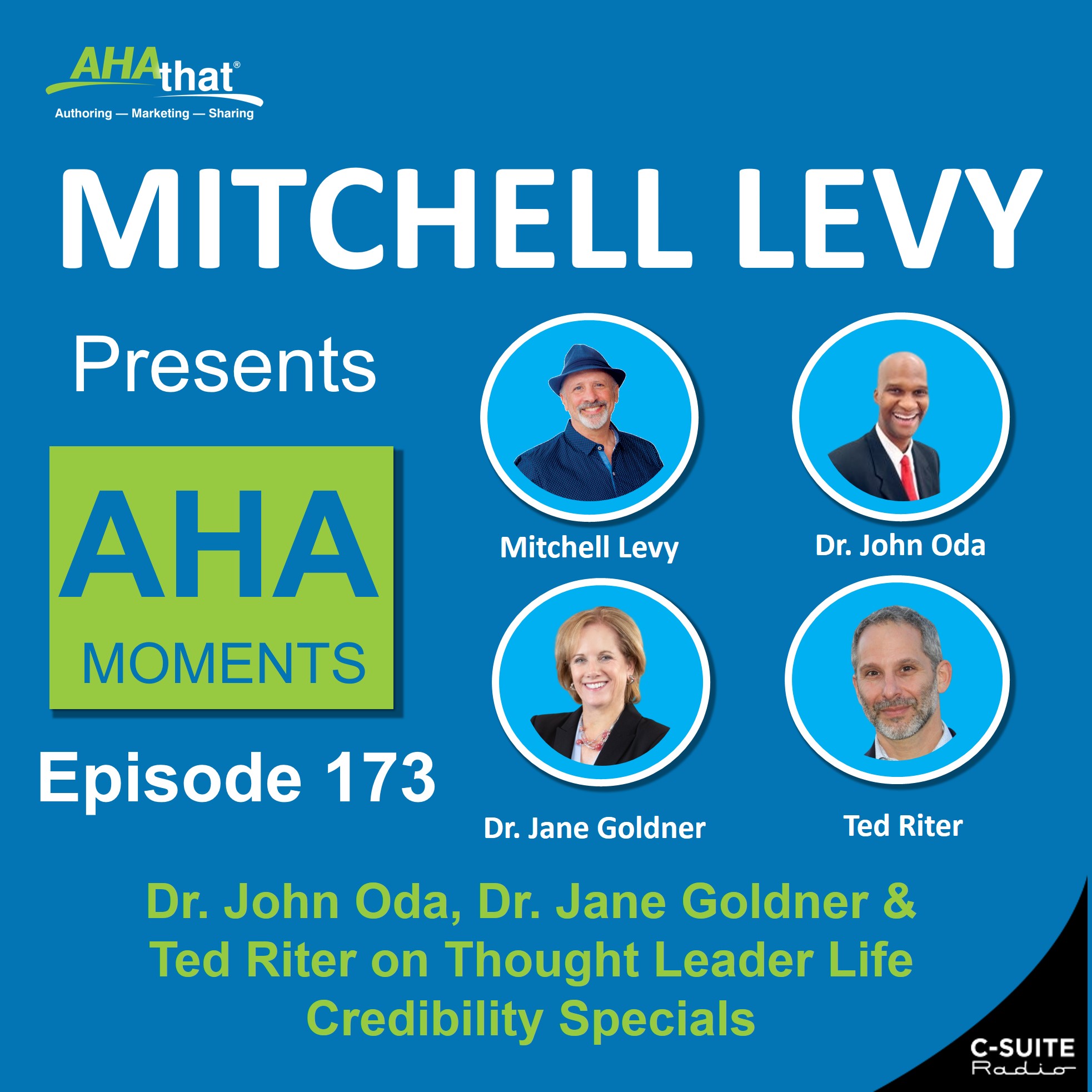 Mitchell Levy Presents AHA Moments