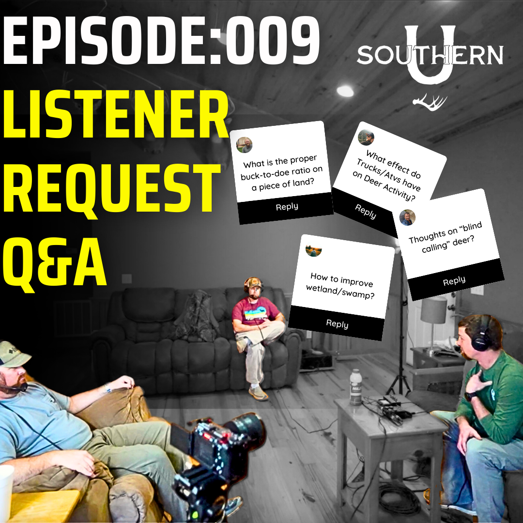 Listener Request Q&A episode artwork