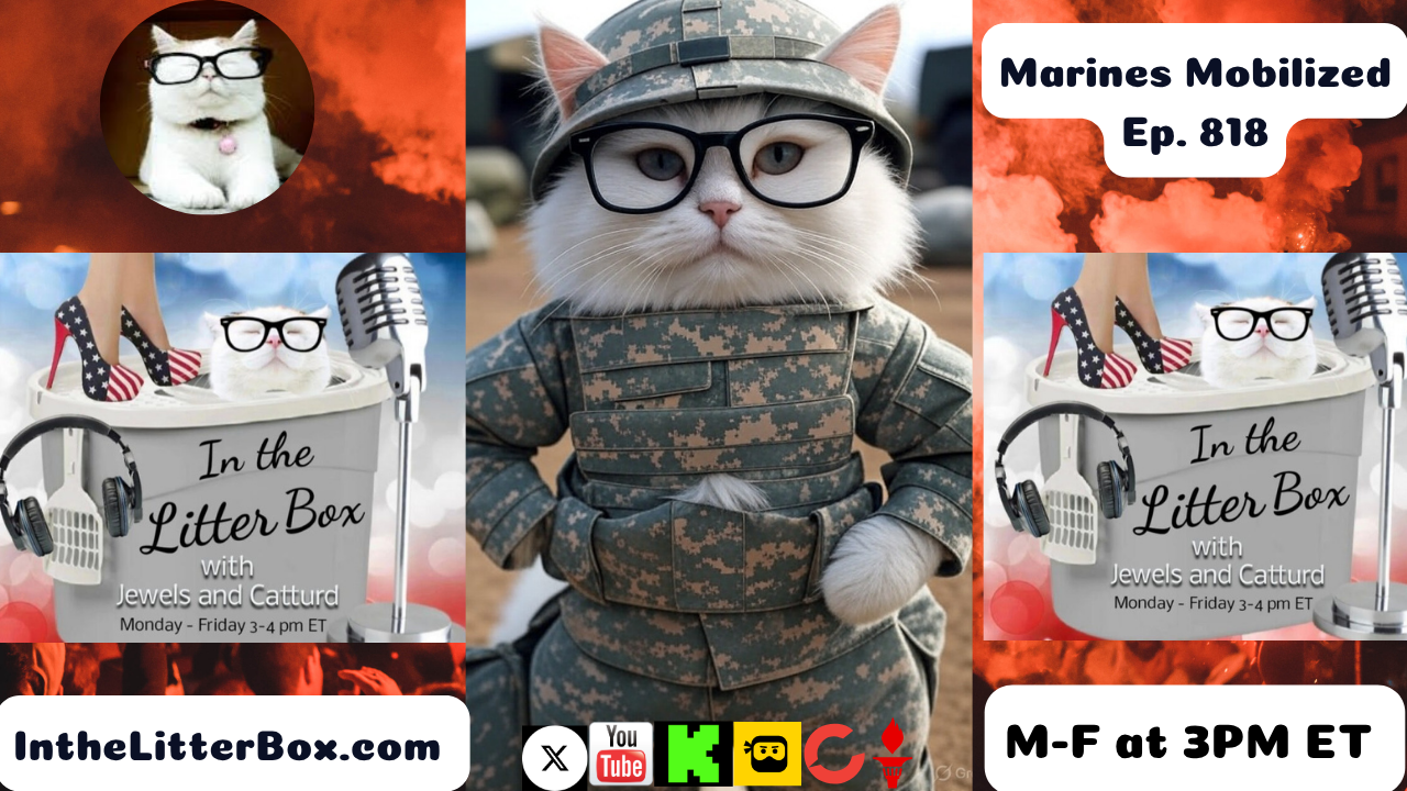 Marines Mobilize | In the Litter Box w/ Jewels & Catturd – Ep. 818 – 6/10/2025