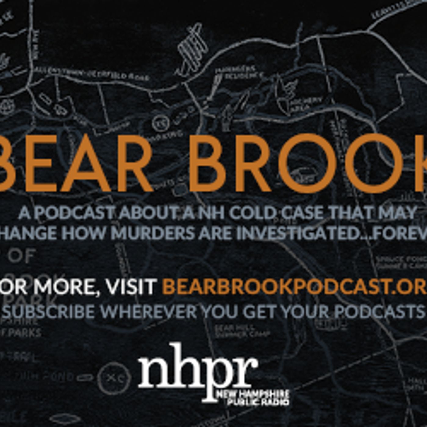 O/I Presents: Bear Brook